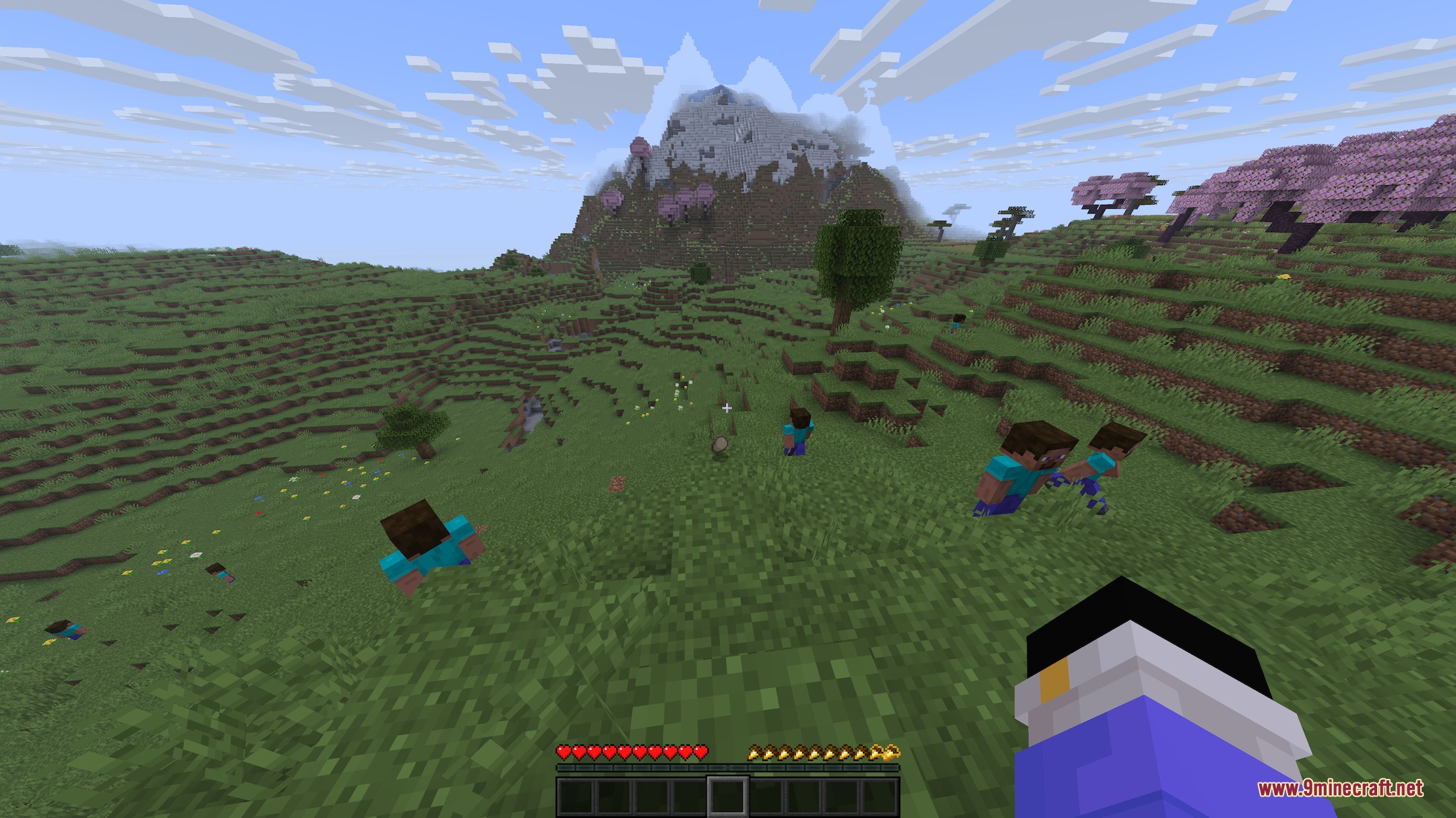 Disabilities Mod (1.21.11) – Survive with Random Physical and Mental Challenges — screenshot 1