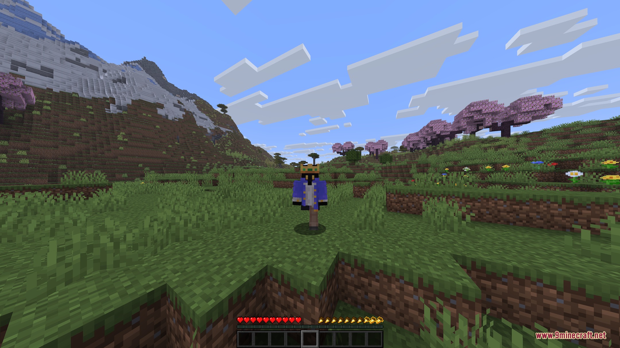 Disabilities Mod (1.21.11) – Survive with Random Physical and Mental Challenges — screenshot 5