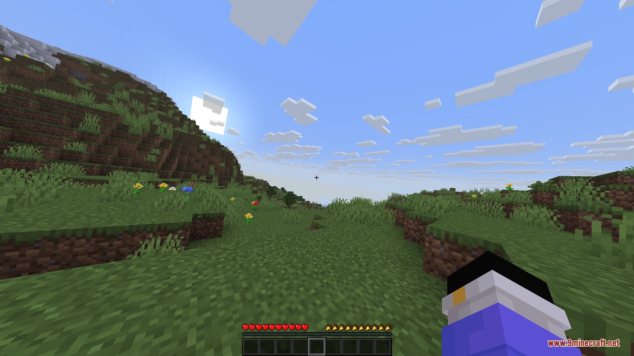 Disabilities Mod (1.21.11) – Survive with Random Physical and Mental Challenges — screenshot 7