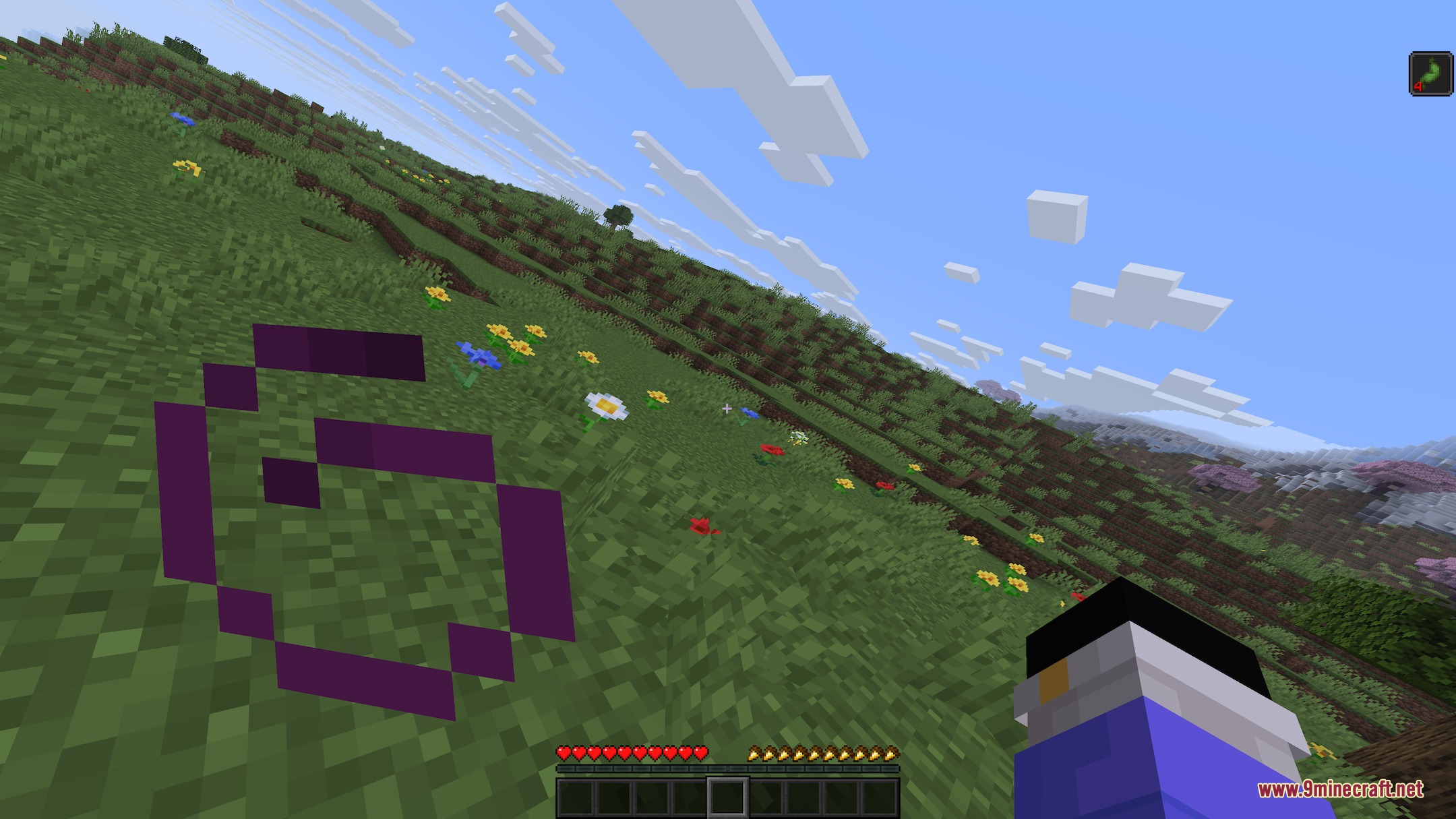 Disabilities Mod (1.21.11) – Survive with Random Physical and Mental Challenges — screenshot 8