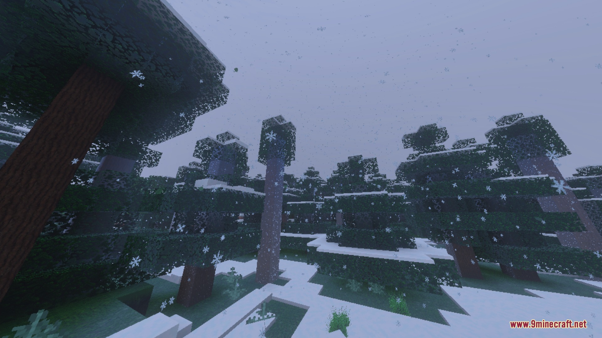 Snowy spruce forest with falling snowflakes in a Minecraft winter biome
