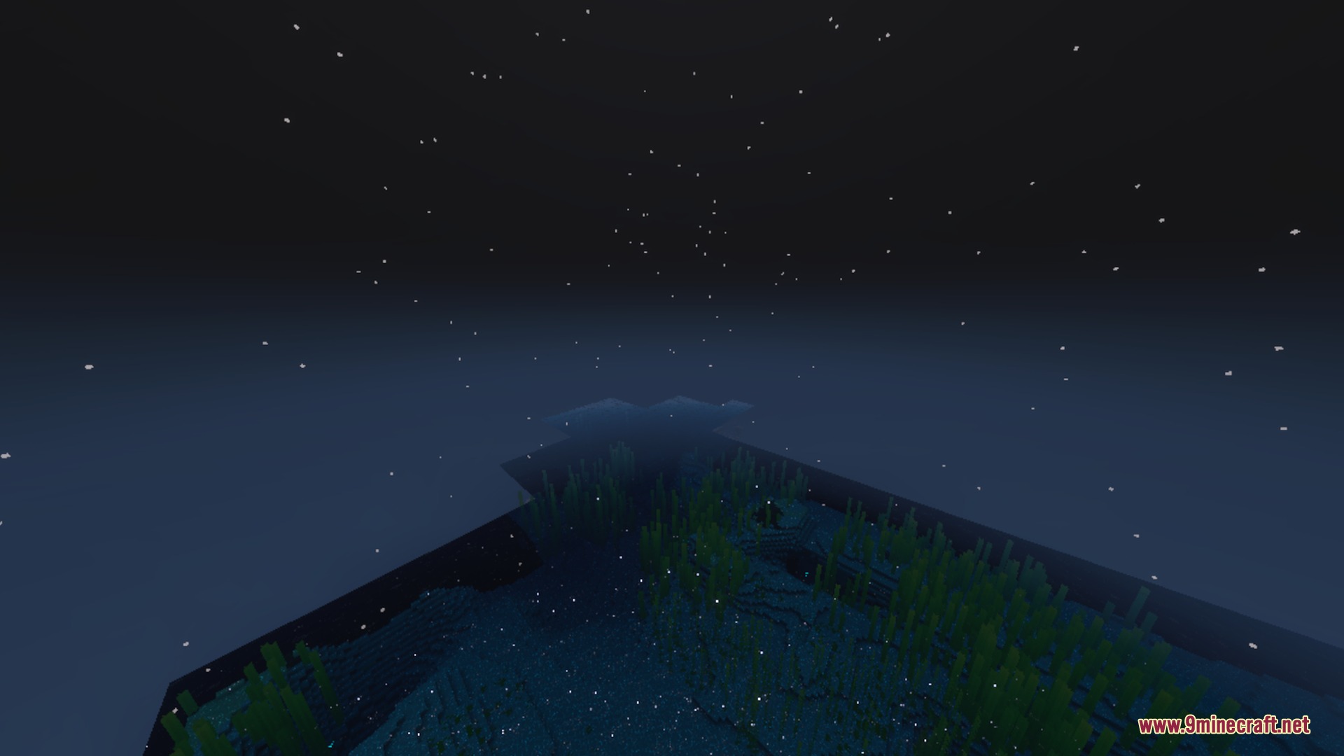Cinematic night sky with stars above a dark ocean and underwater plant life