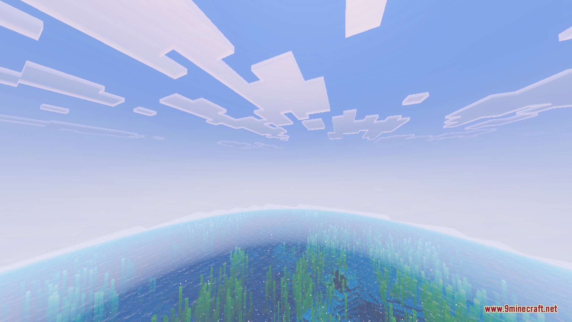 Underwater view of kelp forest looking up at the bright blue sky