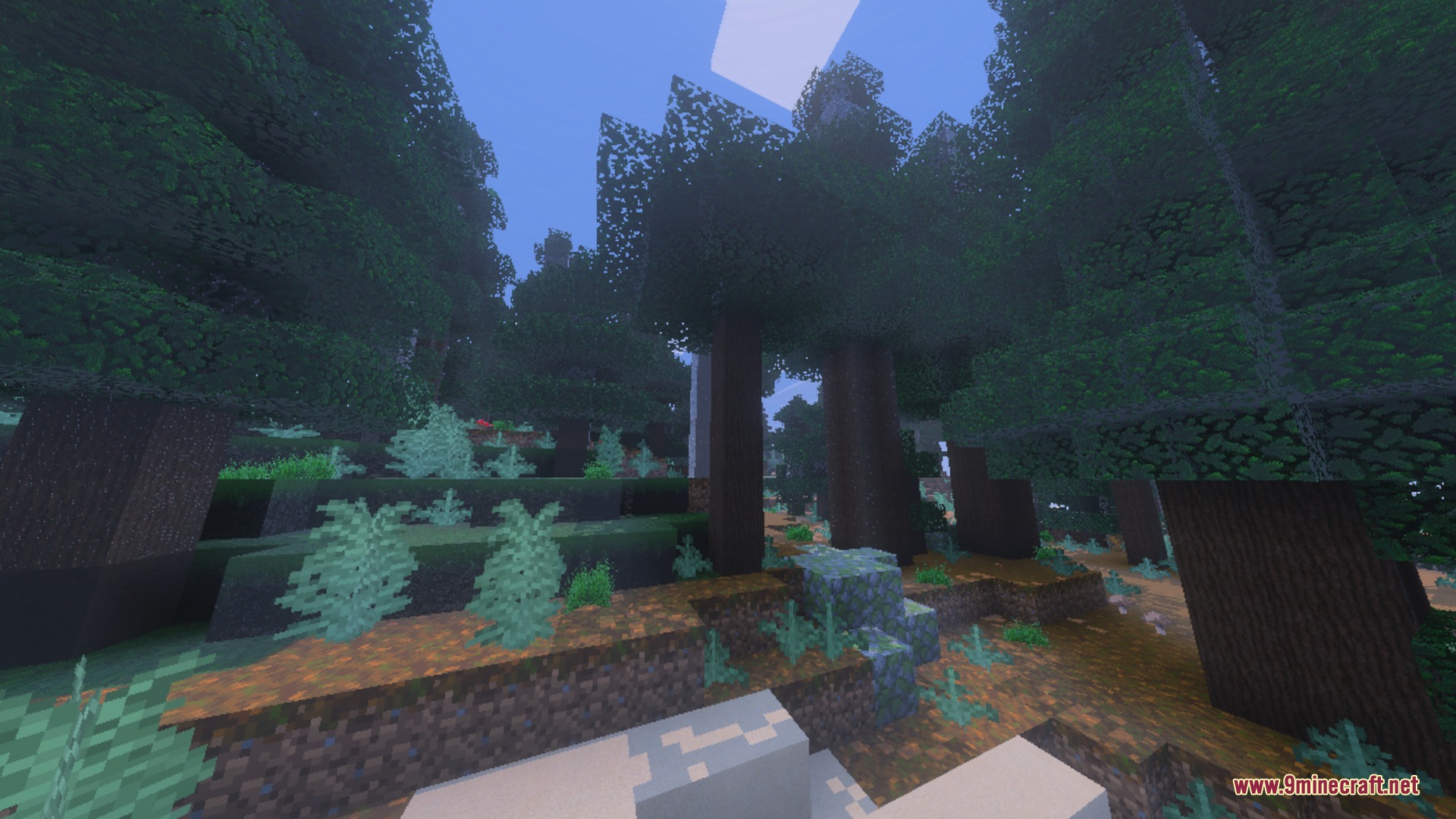 Dense taiga forest with tall spruce trees and mossy cobblestone blocks