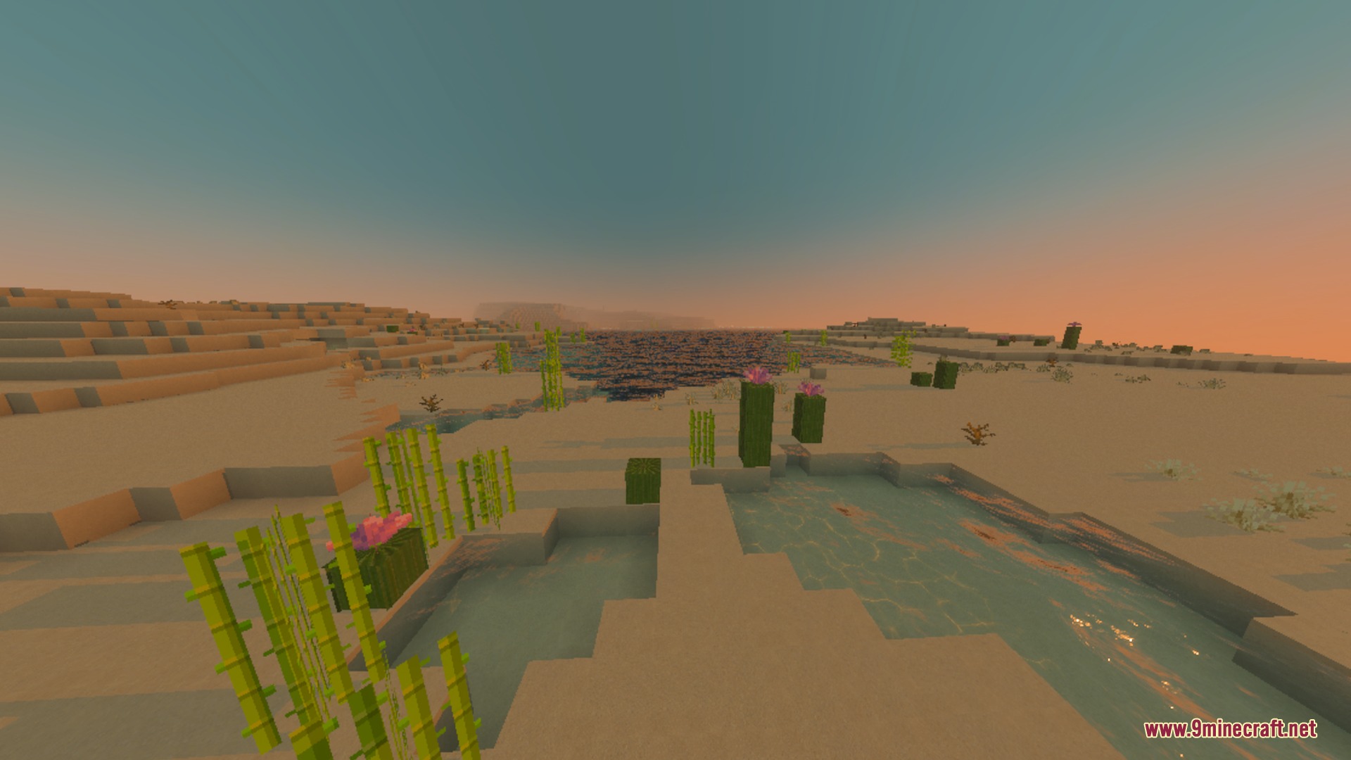 Sunset over a desert biome featuring sugar cane and flowering cactus plants