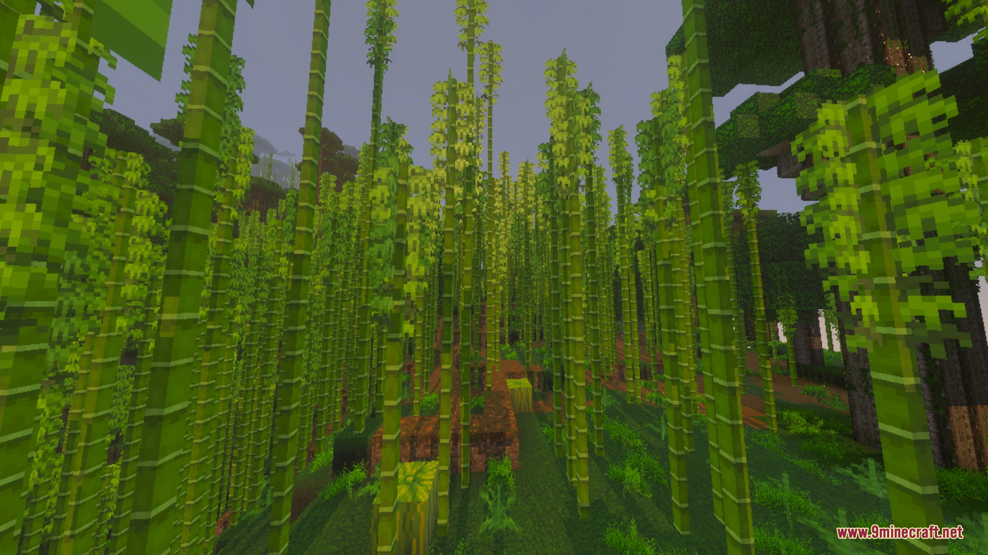 Tall green bamboo stalks growing in a dense Minecraft jungle biome