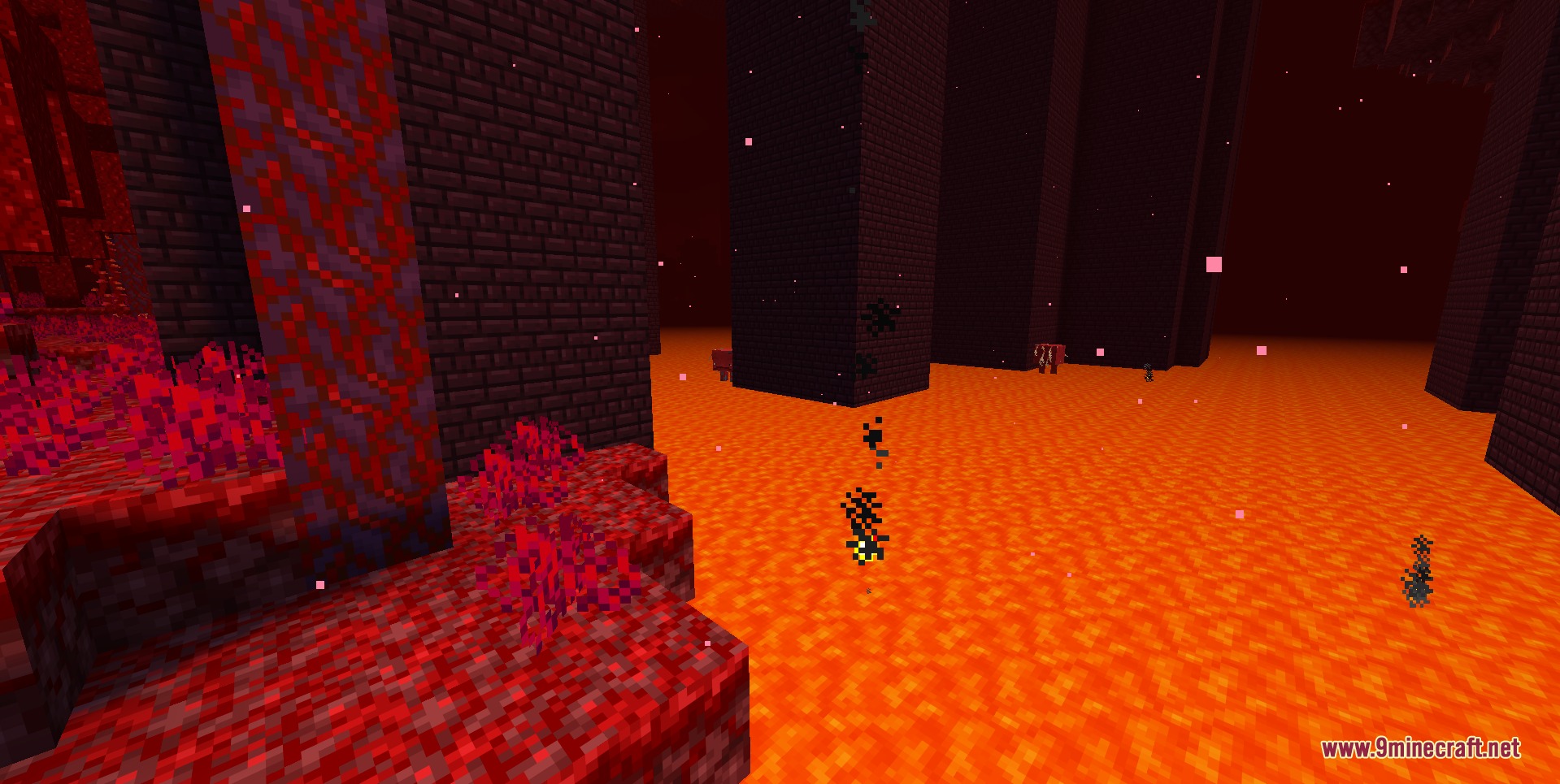 Duck Toons Shader RP Resource Pack (26.1.2, 1.21.11) – Vibrant Cartoon Vibes — screenshot 3