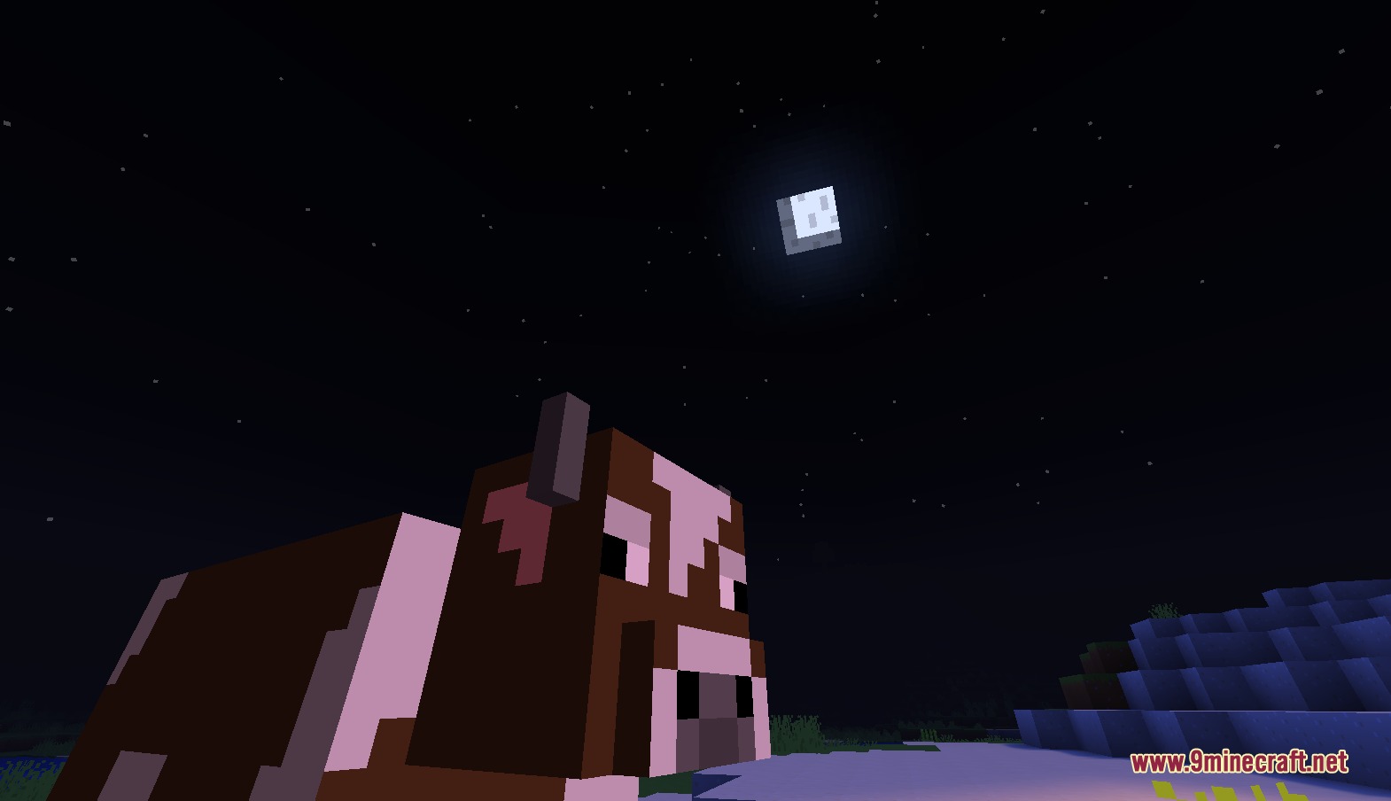 Duck Toons Shader RP Resource Pack (26.1.2, 1.21.11) – Vibrant Cartoon Vibes — screenshot 4