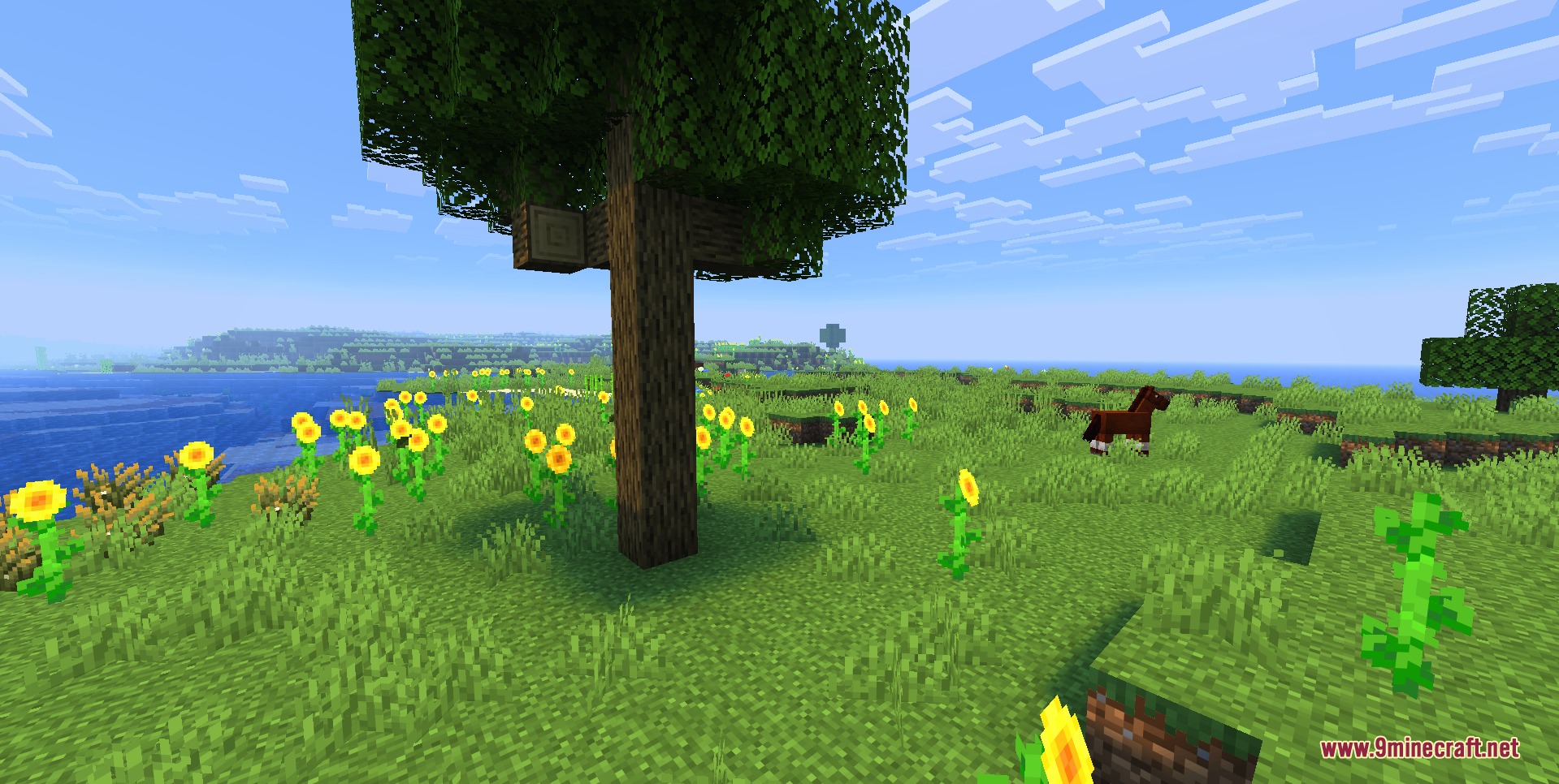 Duck Toons Shader RP Resource Pack (26.1.2, 1.21.11) – Vibrant Cartoon Vibes — screenshot 8