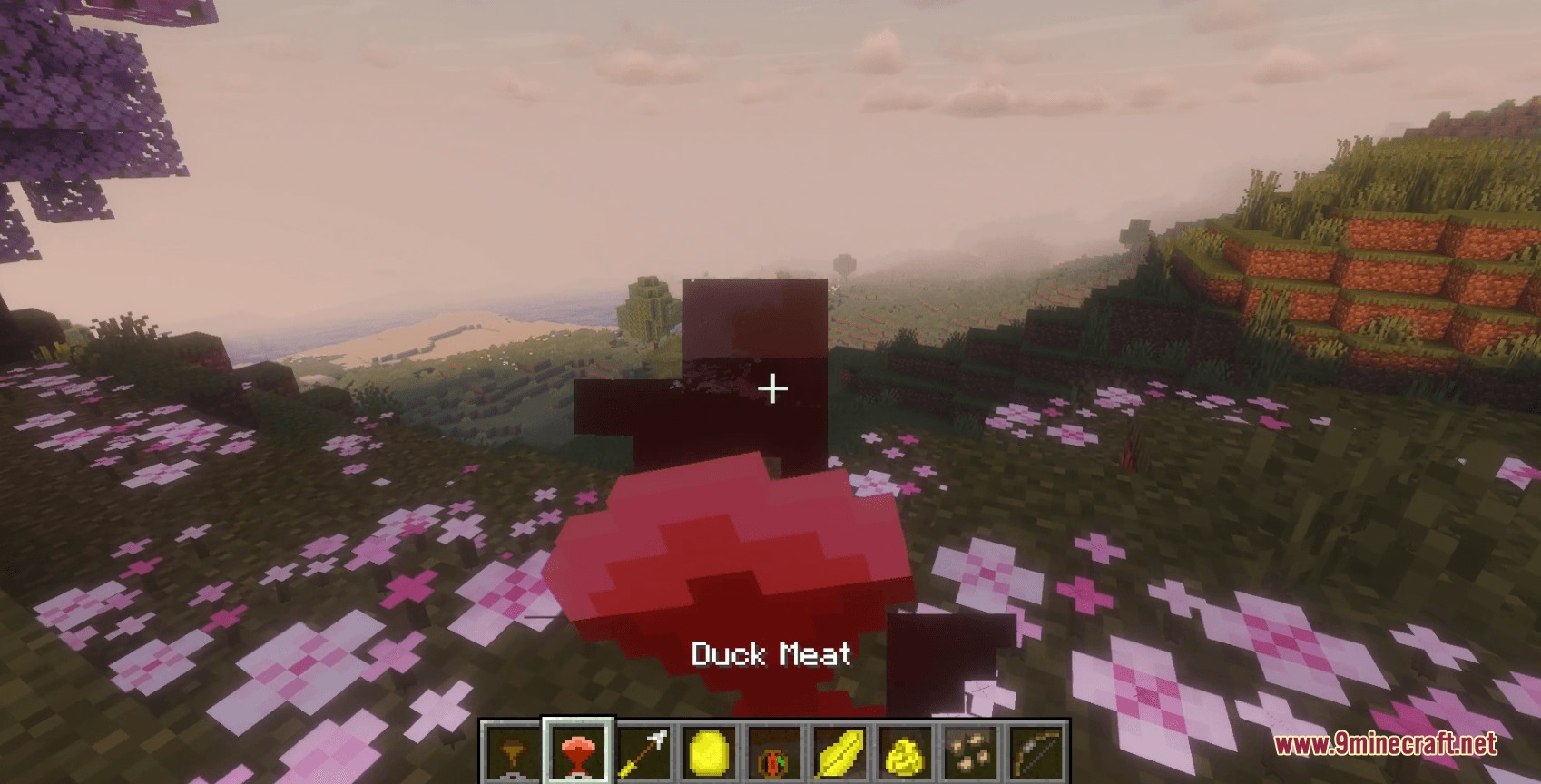 A Minecraft player holds raw duck meat in a field of pink flowers