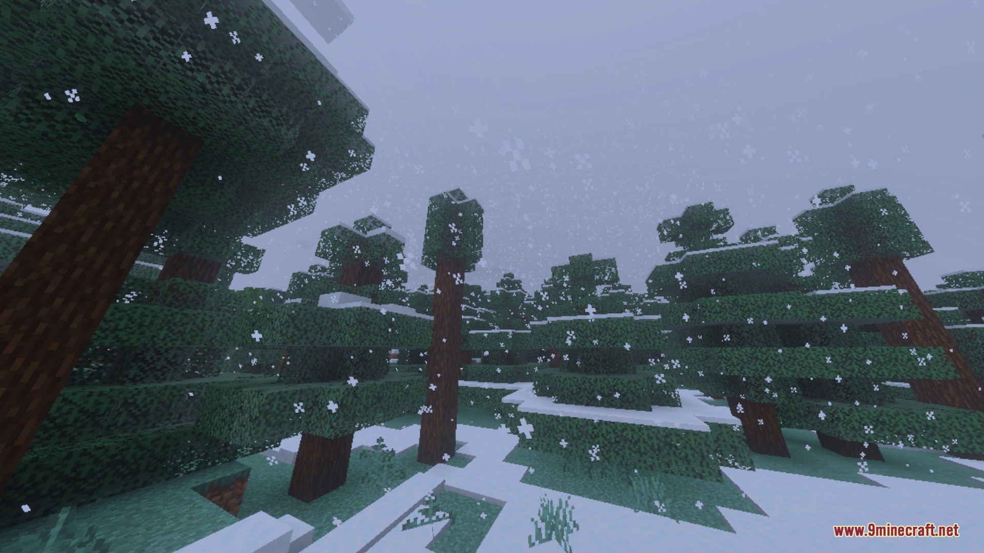 Dynamic Wave Shader Screenshot 10 Snowflakes falling over a dense spruce forest in a cold Minecraft biome