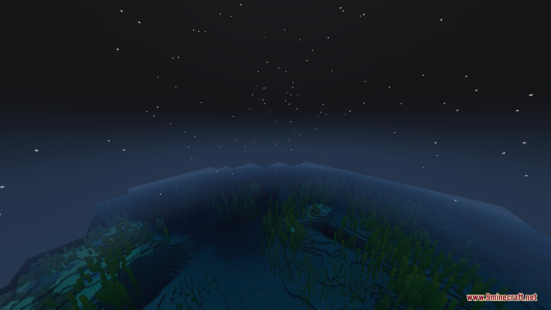 Dynamic Wave Shader Screenshot 5 Dark ocean water with kelp under a starry night sky in Minecraft
