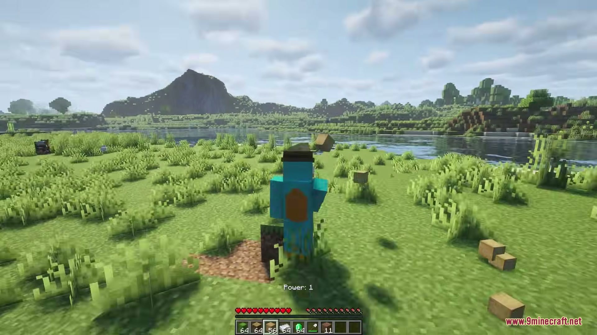 Eating Animations Mod Screenshot 2 A custom character skin standing in a grassy field near a river