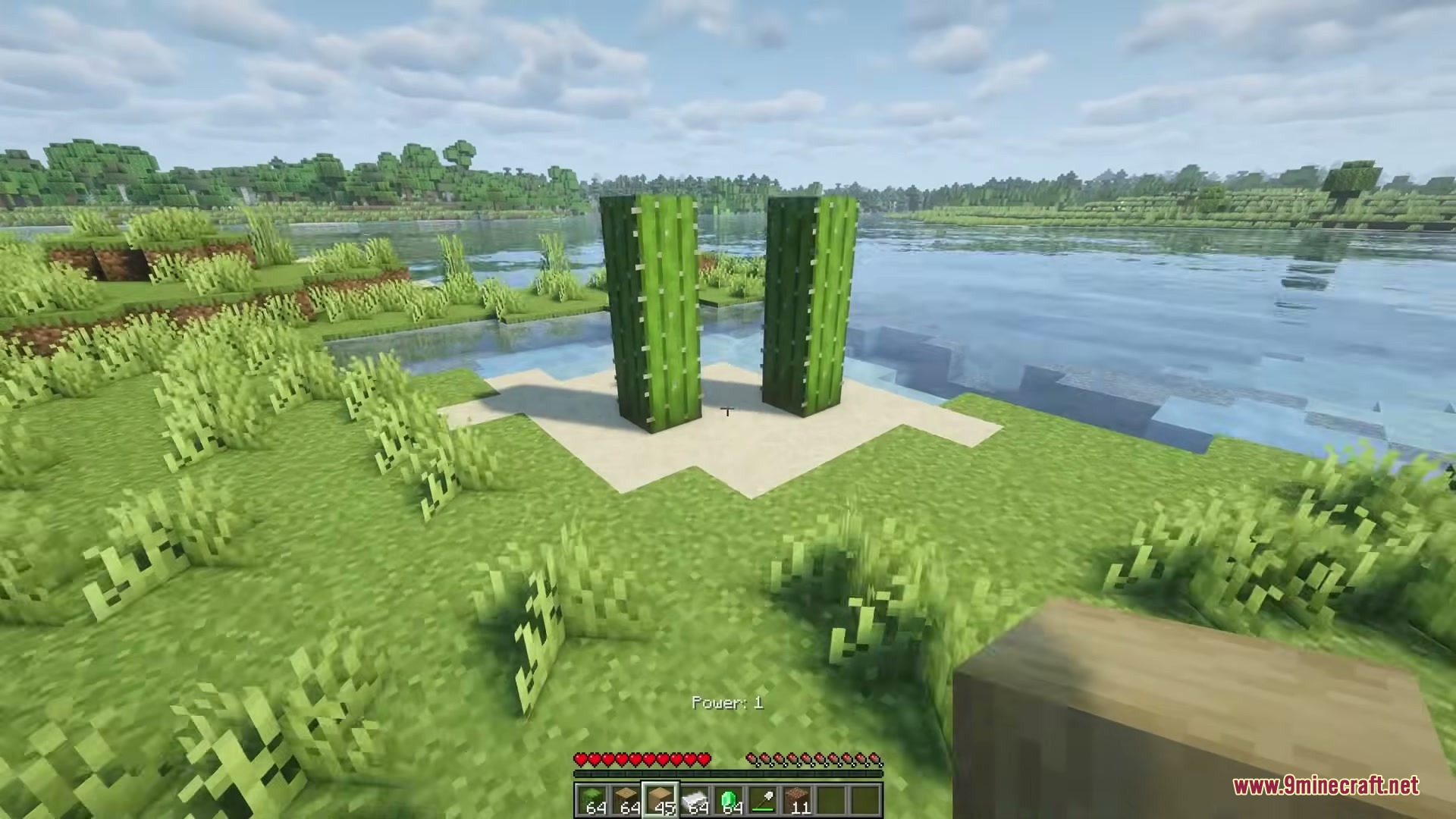 Eating Animations Mod Screenshot 5 A player stands near two tall cacti on a sand patch by water