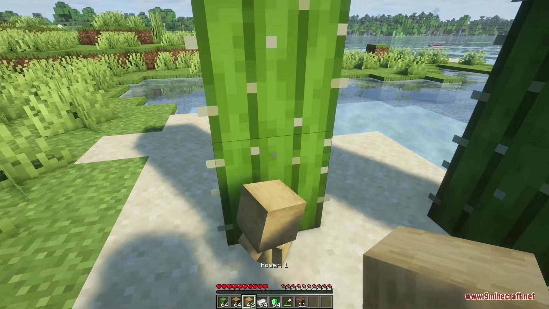 Eating Animations Mod Screenshot 6 Player eats food showing a visual bite mark from Eating Animations Mod