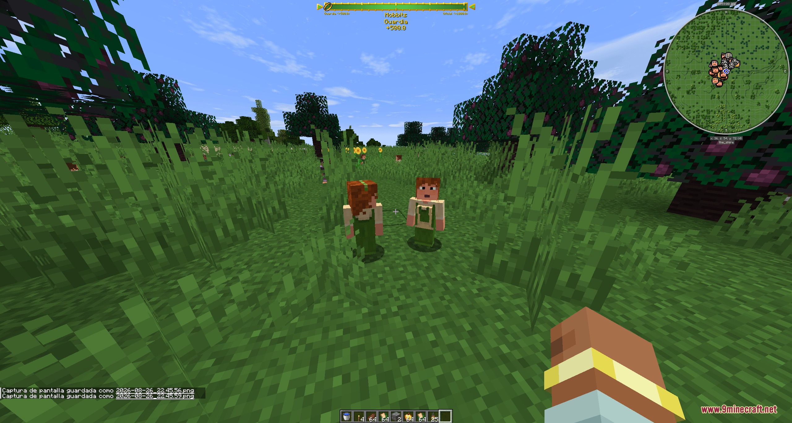 Player standing near two Hobbit NPCs in a grassy field