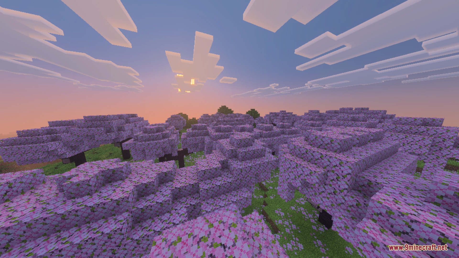 Enchanted Outline Shader Screenshot 3 A scenic cherry blossom forest biome under a vibrant sunset sky