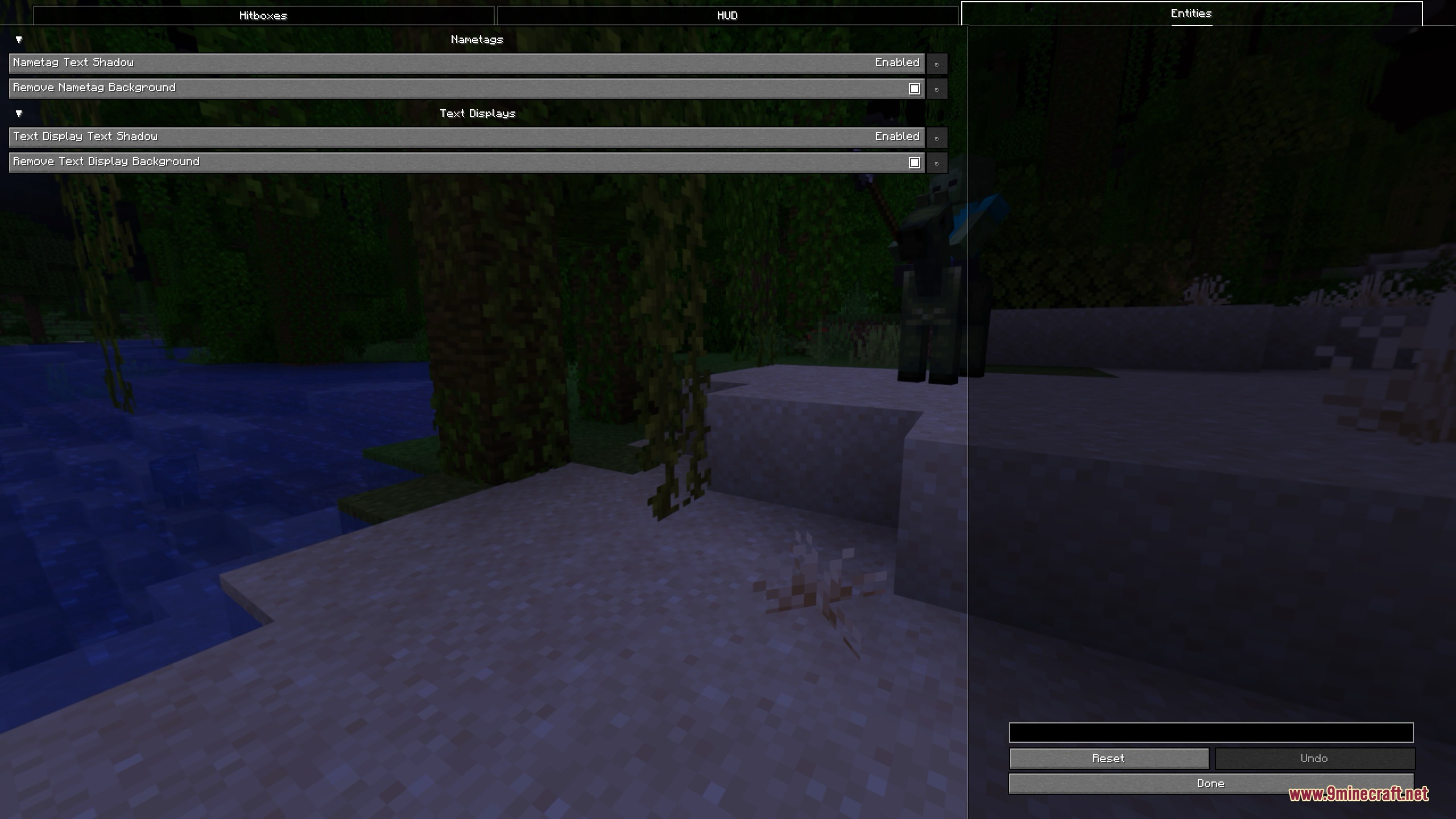 Enhanced Overlay Mod Screenshot 3 Settings menu of Enhanced Overlay Mod showing options for nametags and text