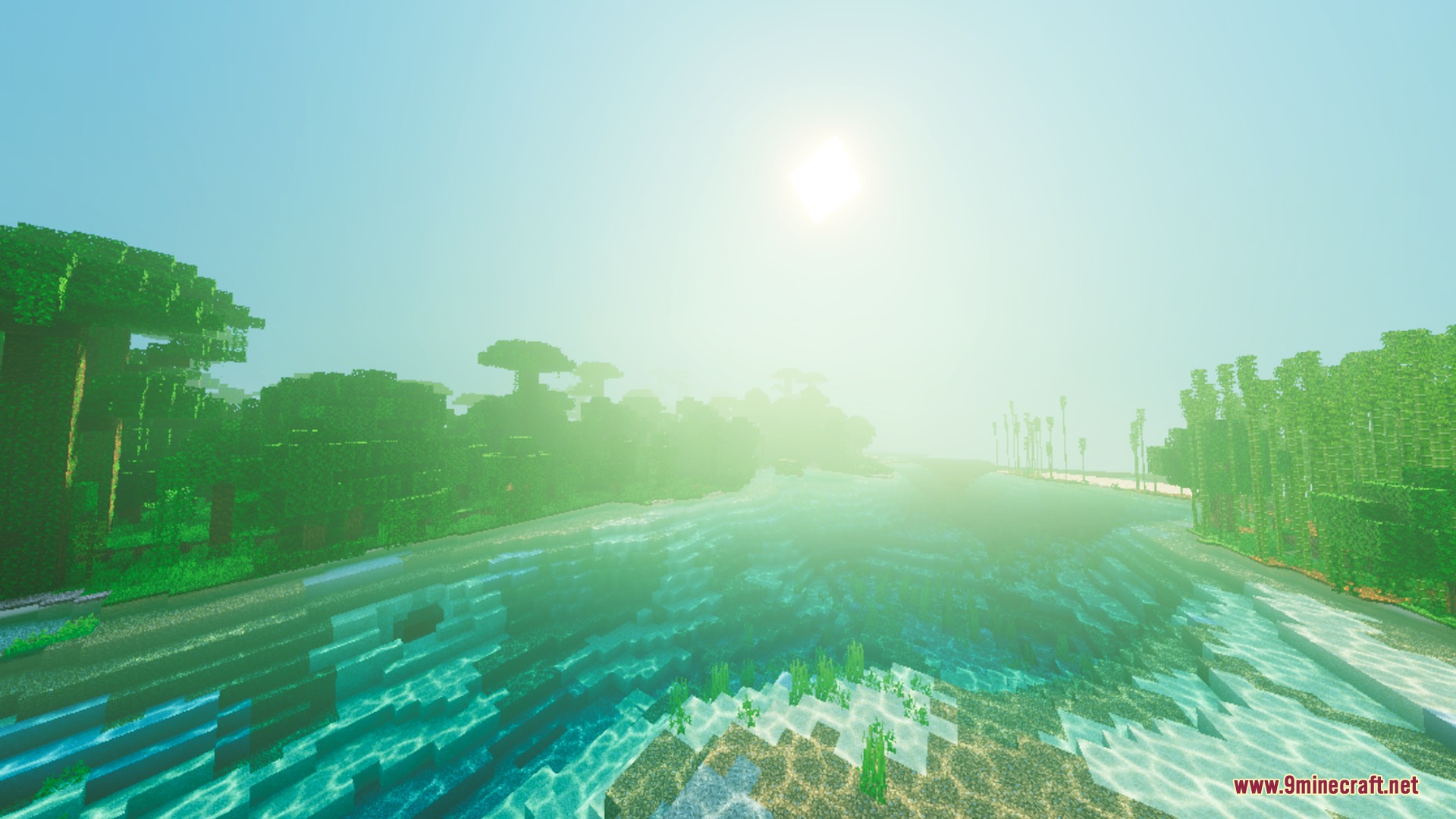 Enhanced Vibrant Visuals Shader (26.x, 1.21) – Volumetric Fog and PBR Textures — screenshot 1