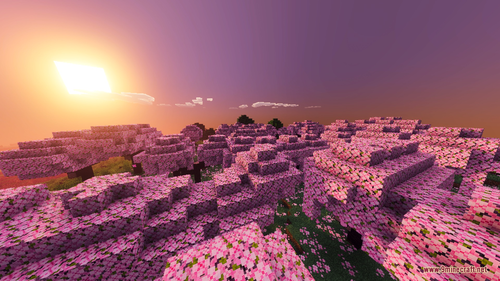 Enhanced Vibrant Visuals Shader (26.x, 1.21) – Volumetric Fog and PBR Textures — screenshot 3