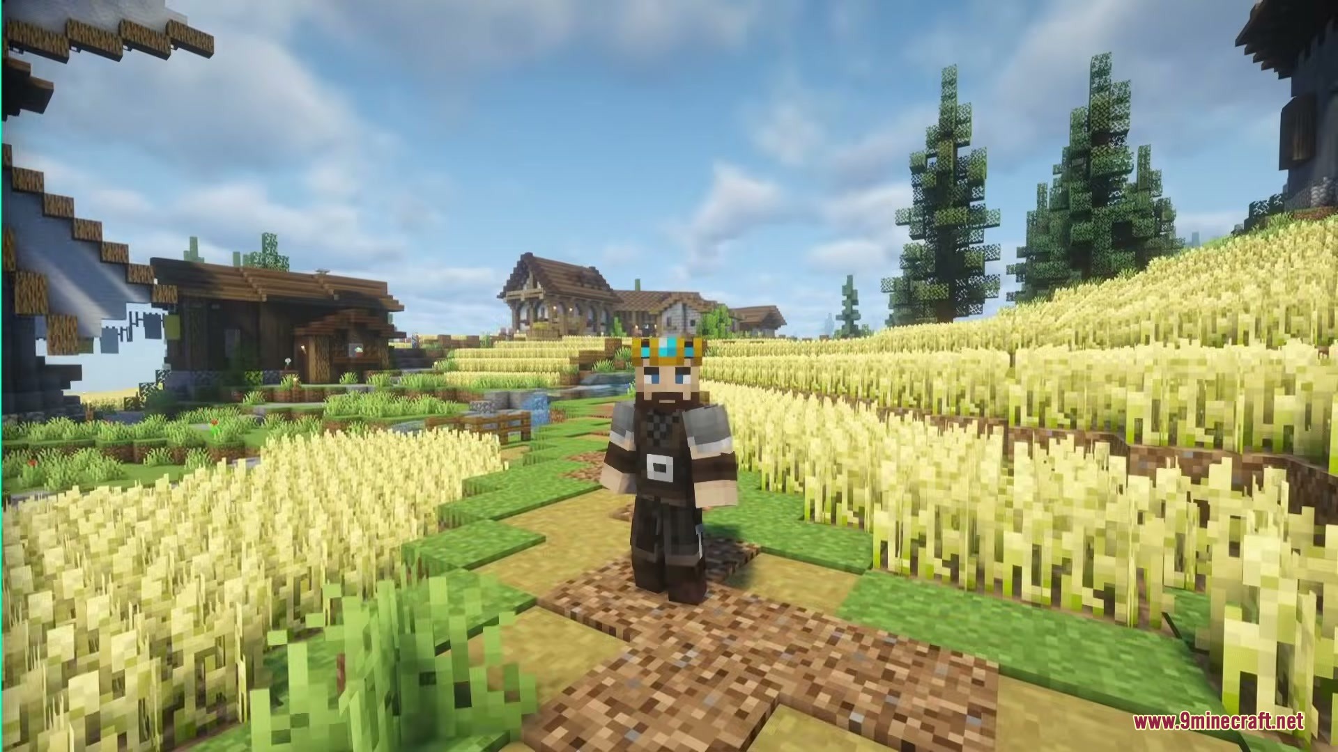 Epic Fight Dancing Mod Screenshot 1 A Minecraft character wearing a crown stands in a large golden wheat field