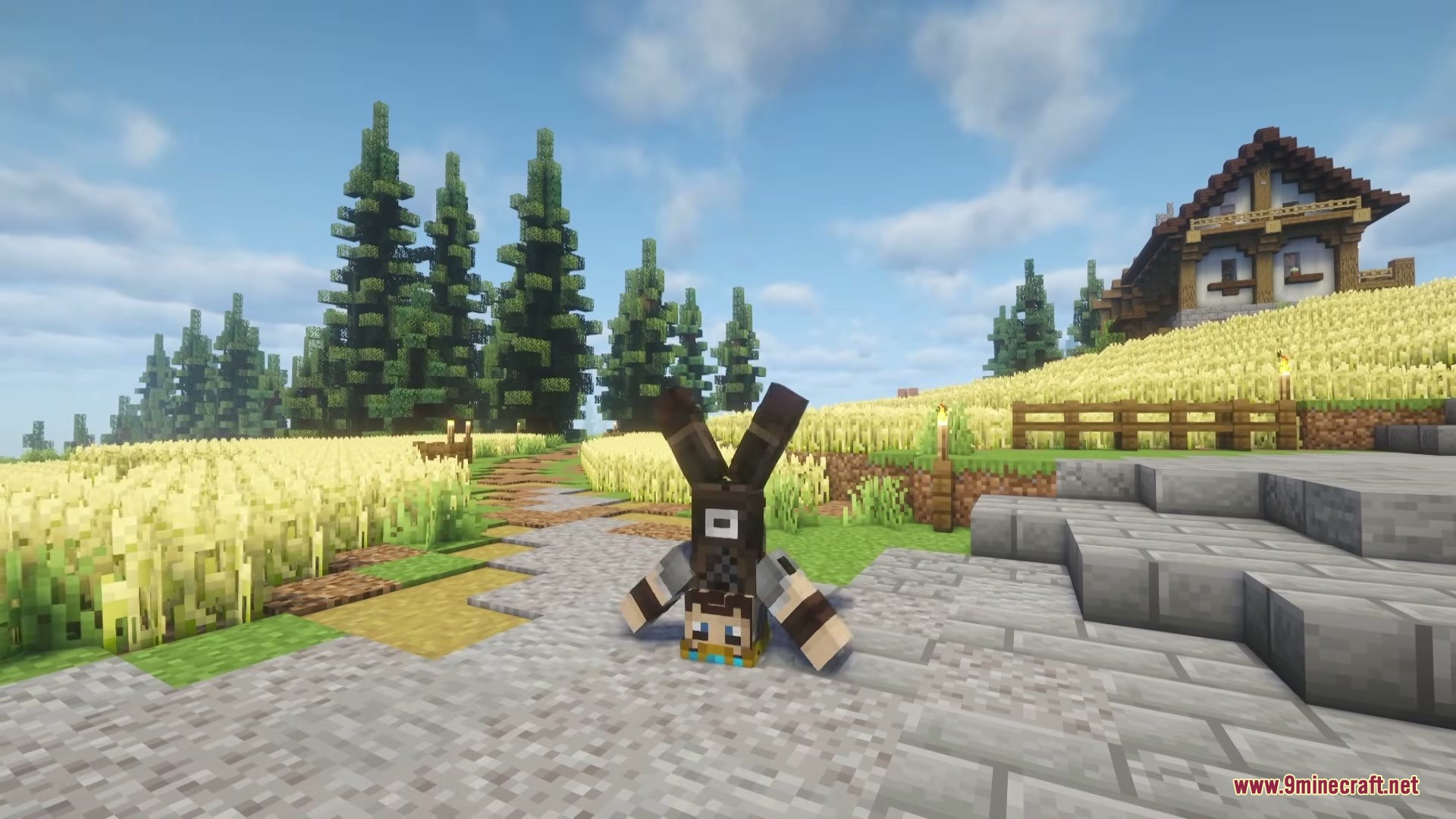 Epic Fight Dancing Mod Screenshot 2 A player performs a handstand animation from the Epic Fight Dancing Mod