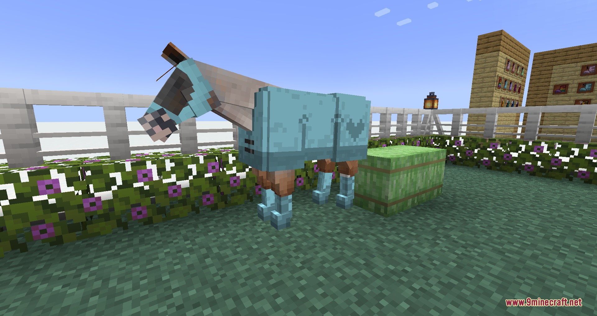 Equestrian Canvas Expanded Mod Screenshot 5 A Minecraft horse wearing light blue protective gear in a fenced garden