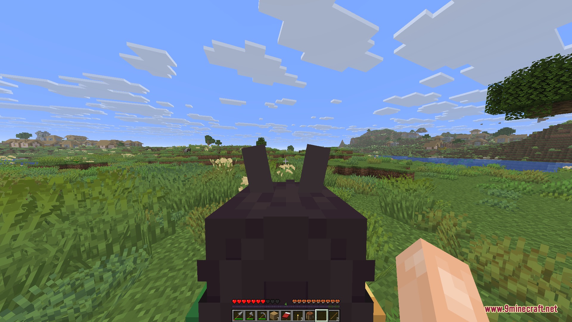 First person view of riding an anime horse girl toward a distant village
