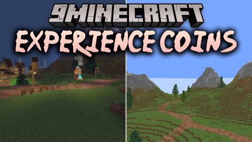 Experience Coins Shaders