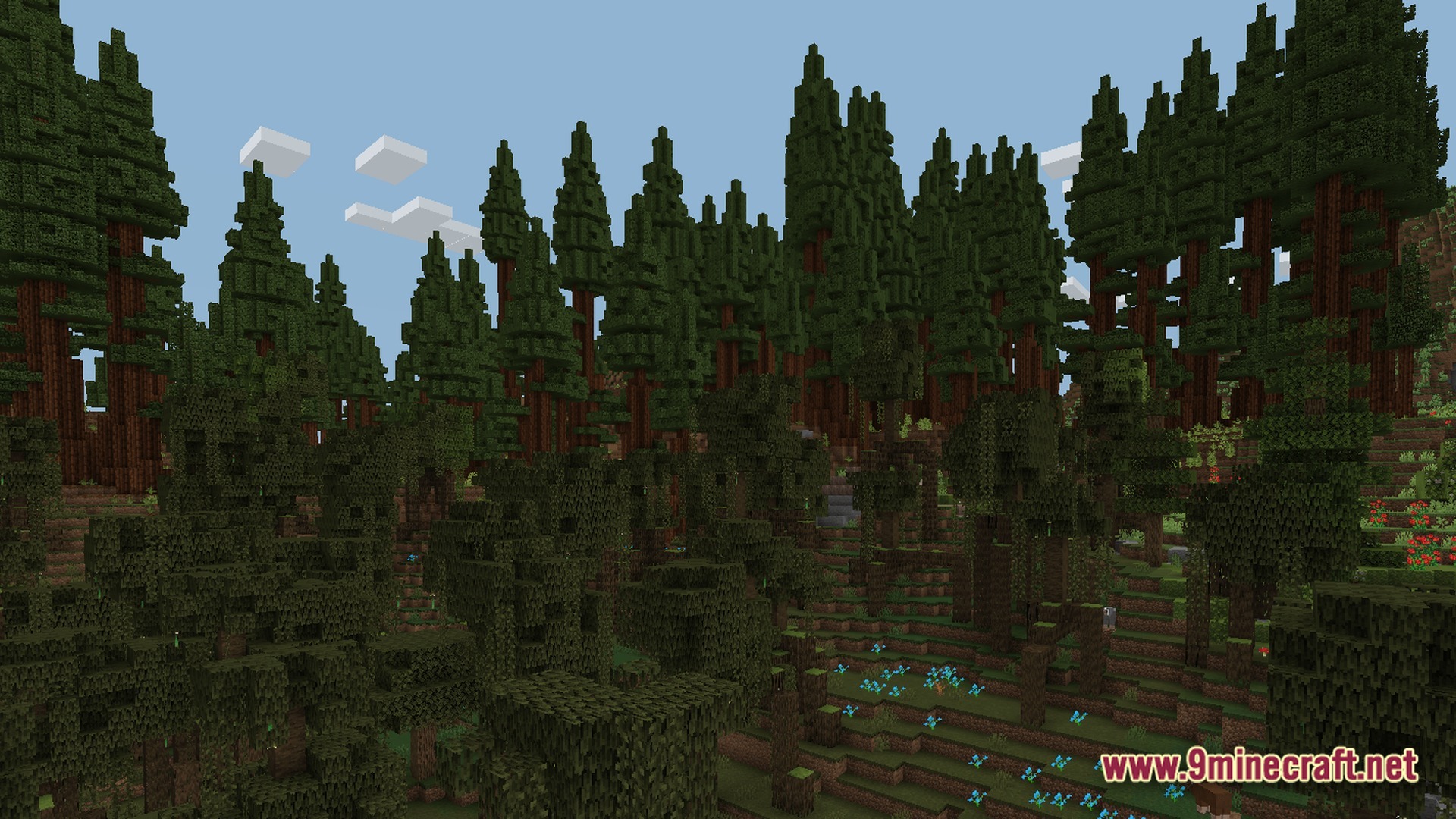 FF's Terra Forge Modpack Screenshot 7 A dense forest biome featuring tall redwood trees, diverse foliage, and small blue flowers on hillsides