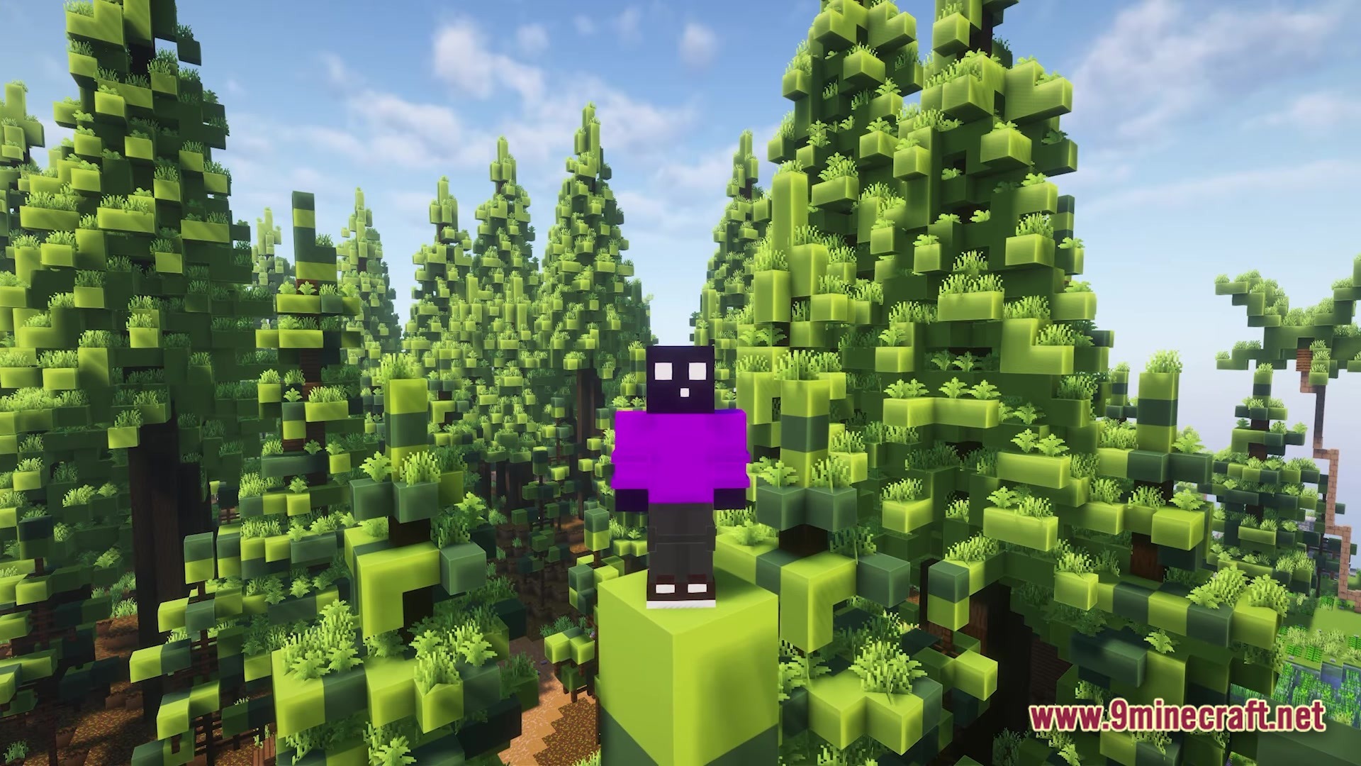 A purple-clad player character stands atop a block overlooking a dense forest of stylized pine trees