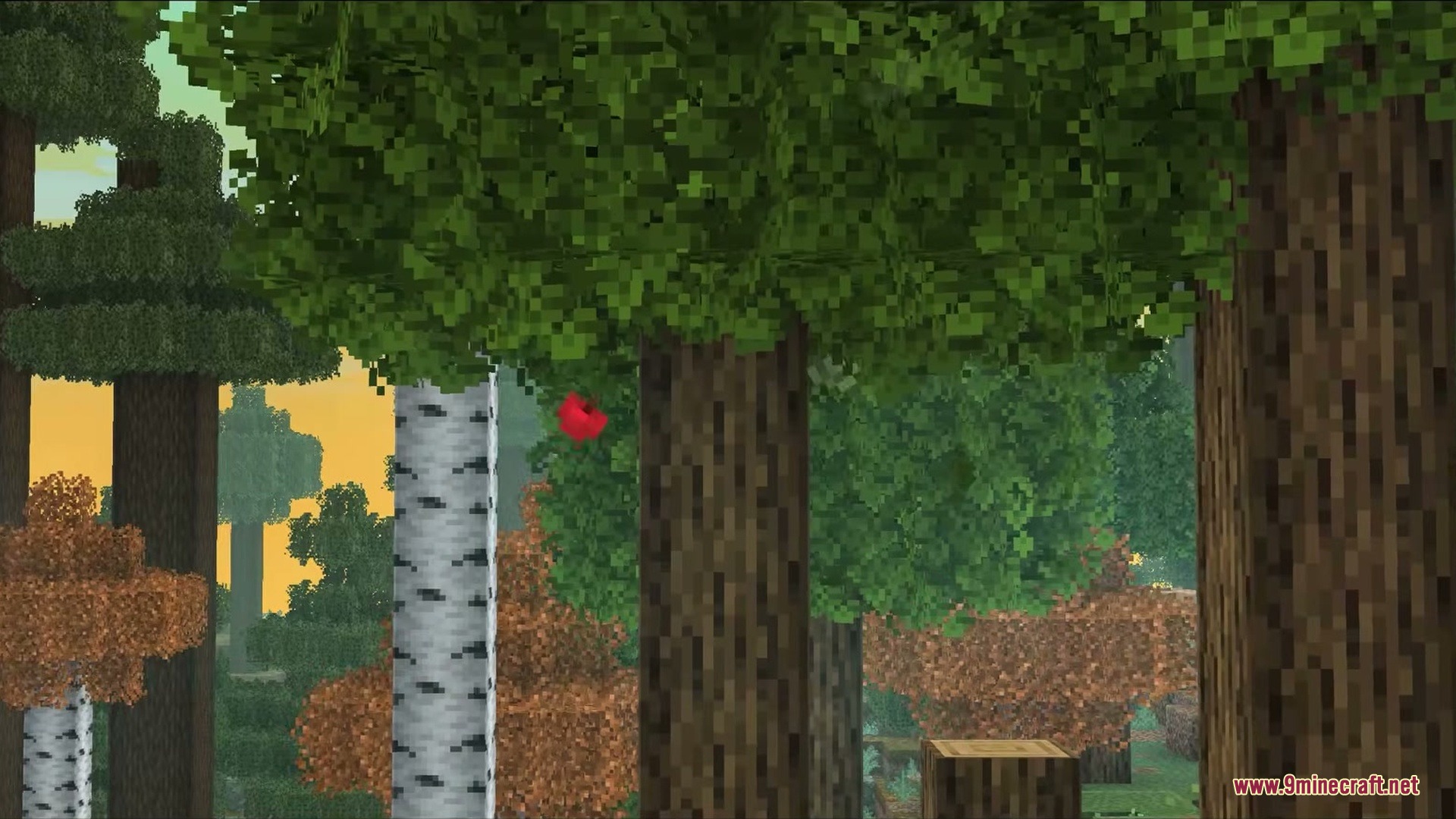 Falling Leaves Plus Mod Screenshot 3 A red apple particle falling from green leaves in a dense forest