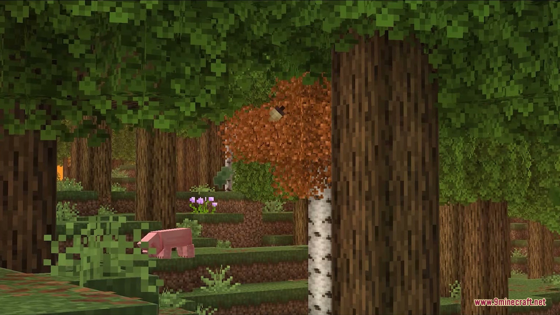 Falling Leaves Plus Mod Screenshot 5 Acorns fall from orange leaves in a dense Minecraft forest with a pig