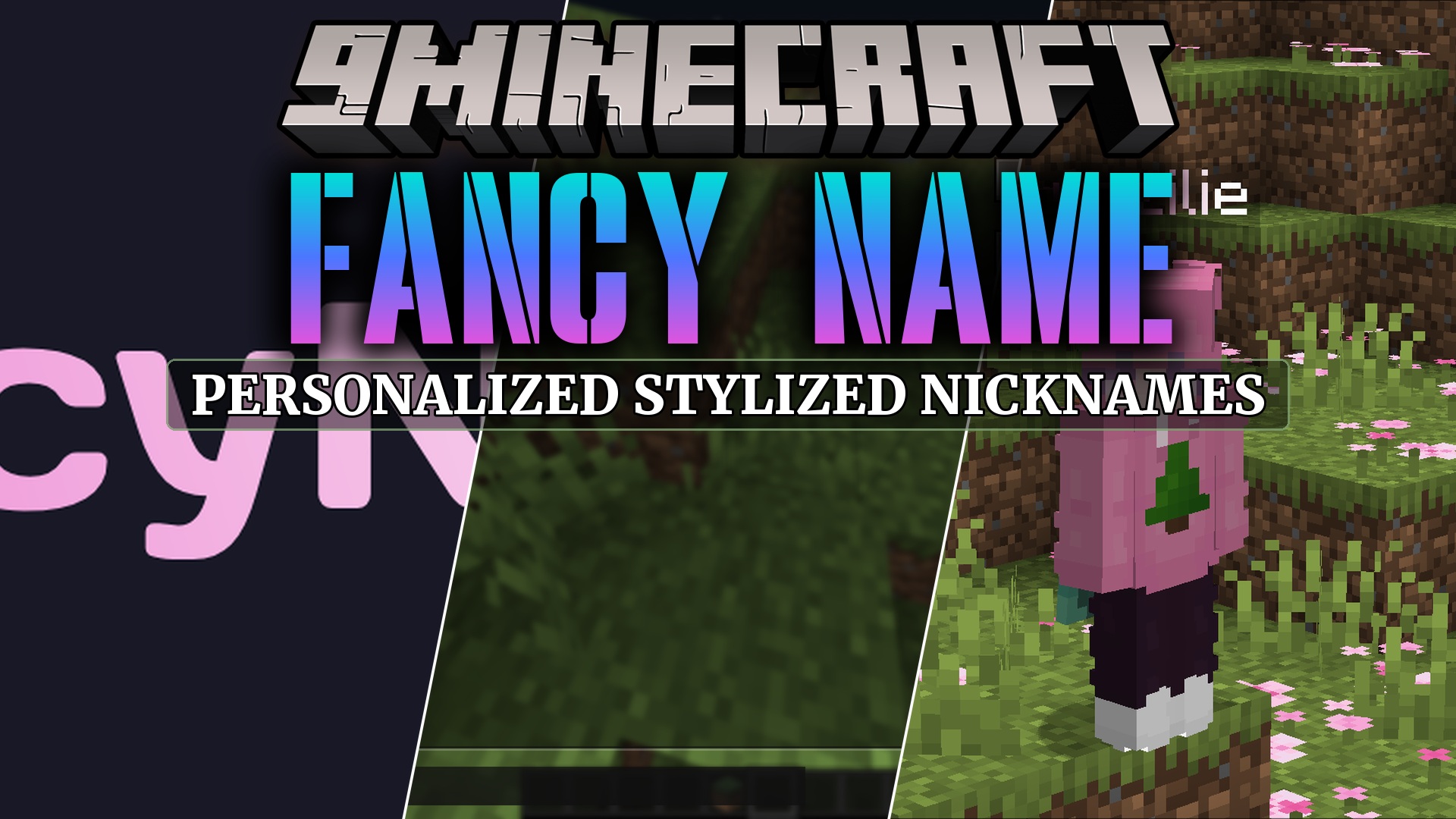 Fancy Name Mod