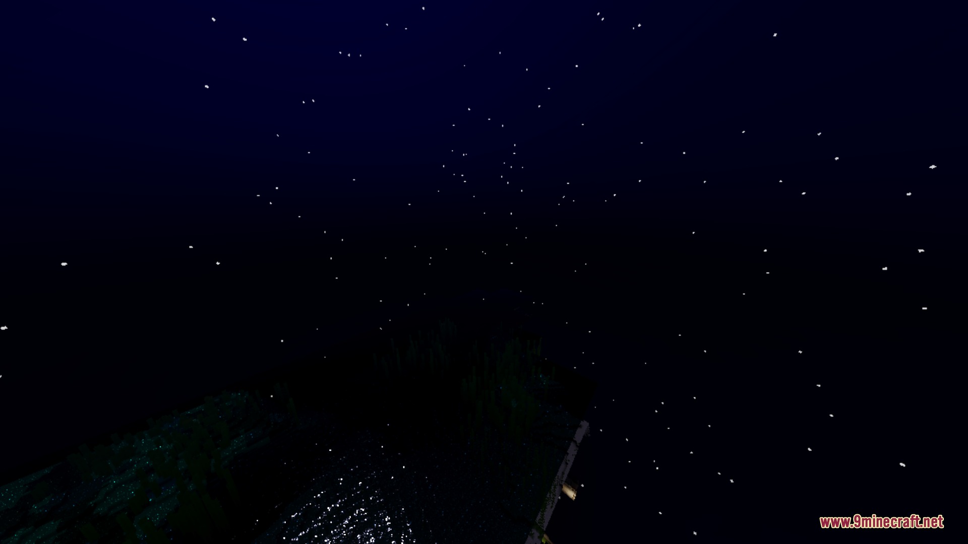 Bright stars twinkle in the dark night sky over a calm ocean