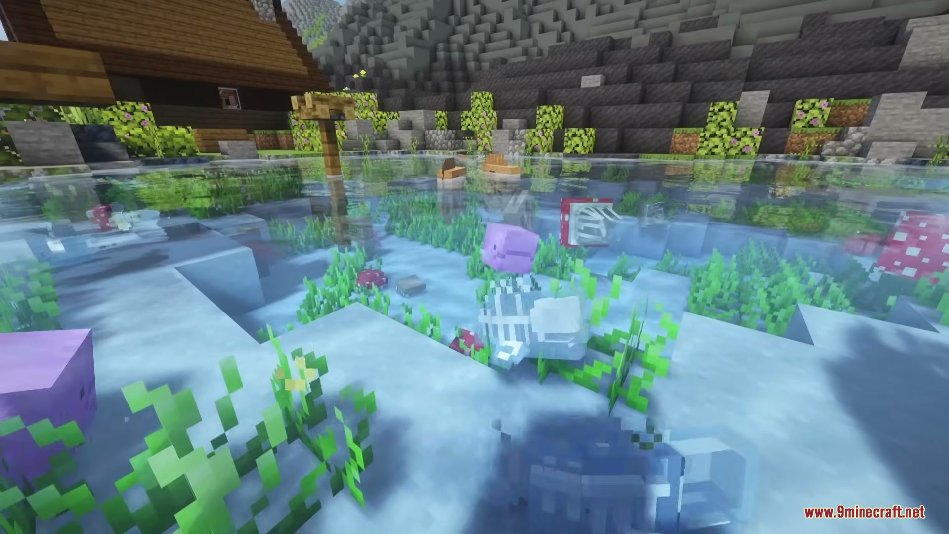 A purple fish and a skeletal creature swimming in shallow clear water