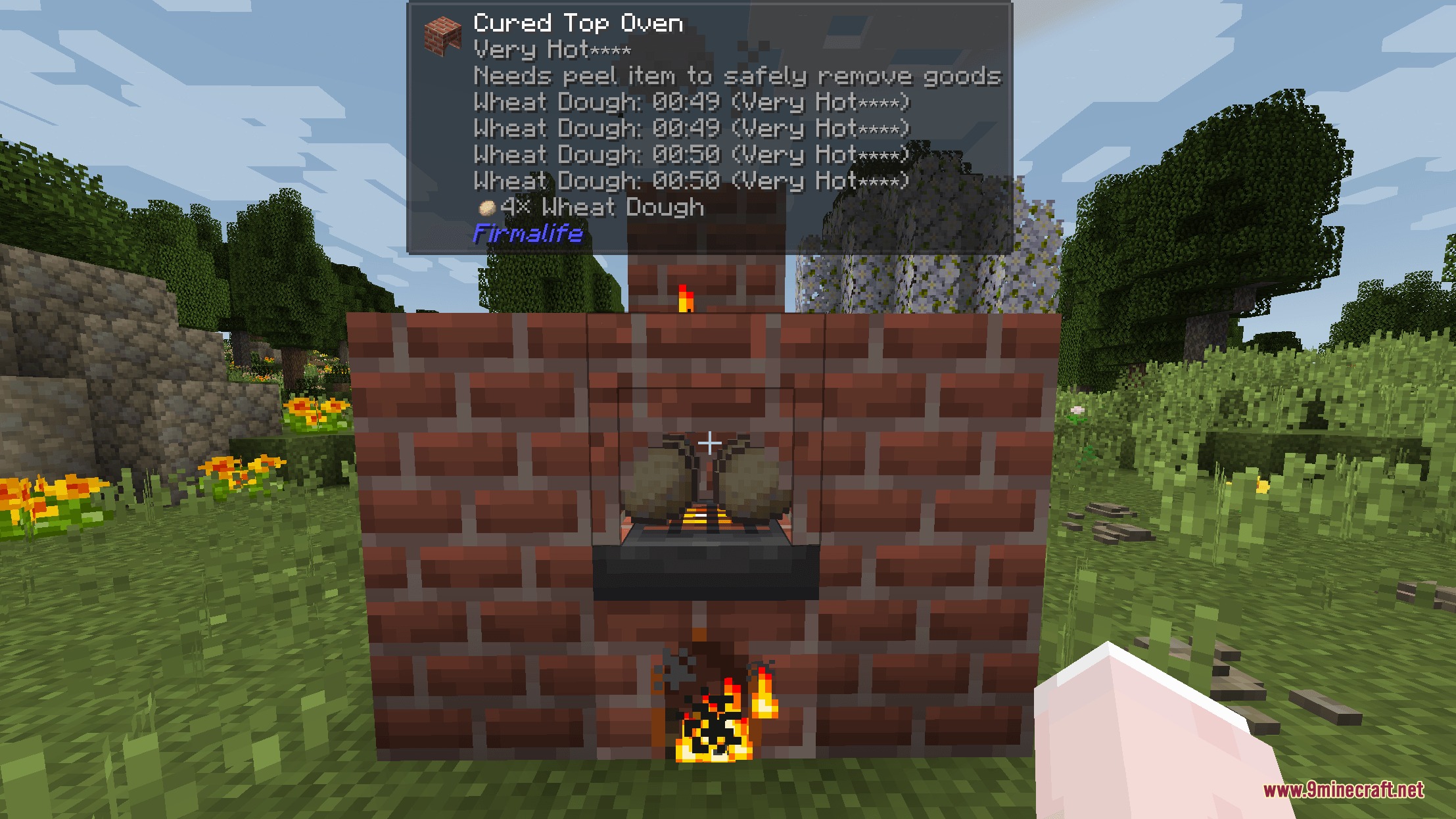 Farmers TFC Mod (1.21.1, 1.20.1) – Master Realistic Cooking and Food — screenshot 1