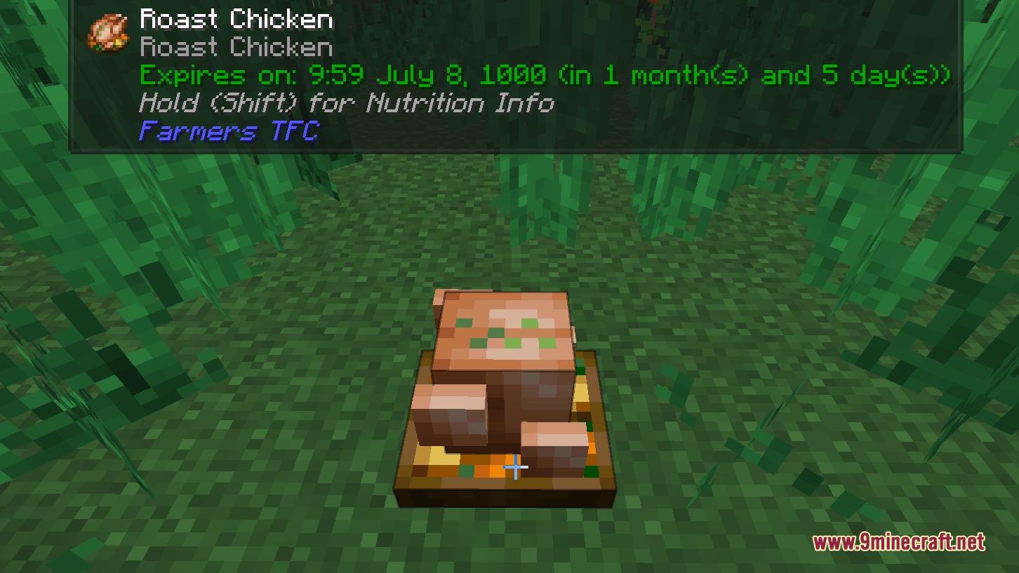 Farmers TFC Mod (1.21.1, 1.20.1) – Master Realistic Cooking and Food — screenshot 4