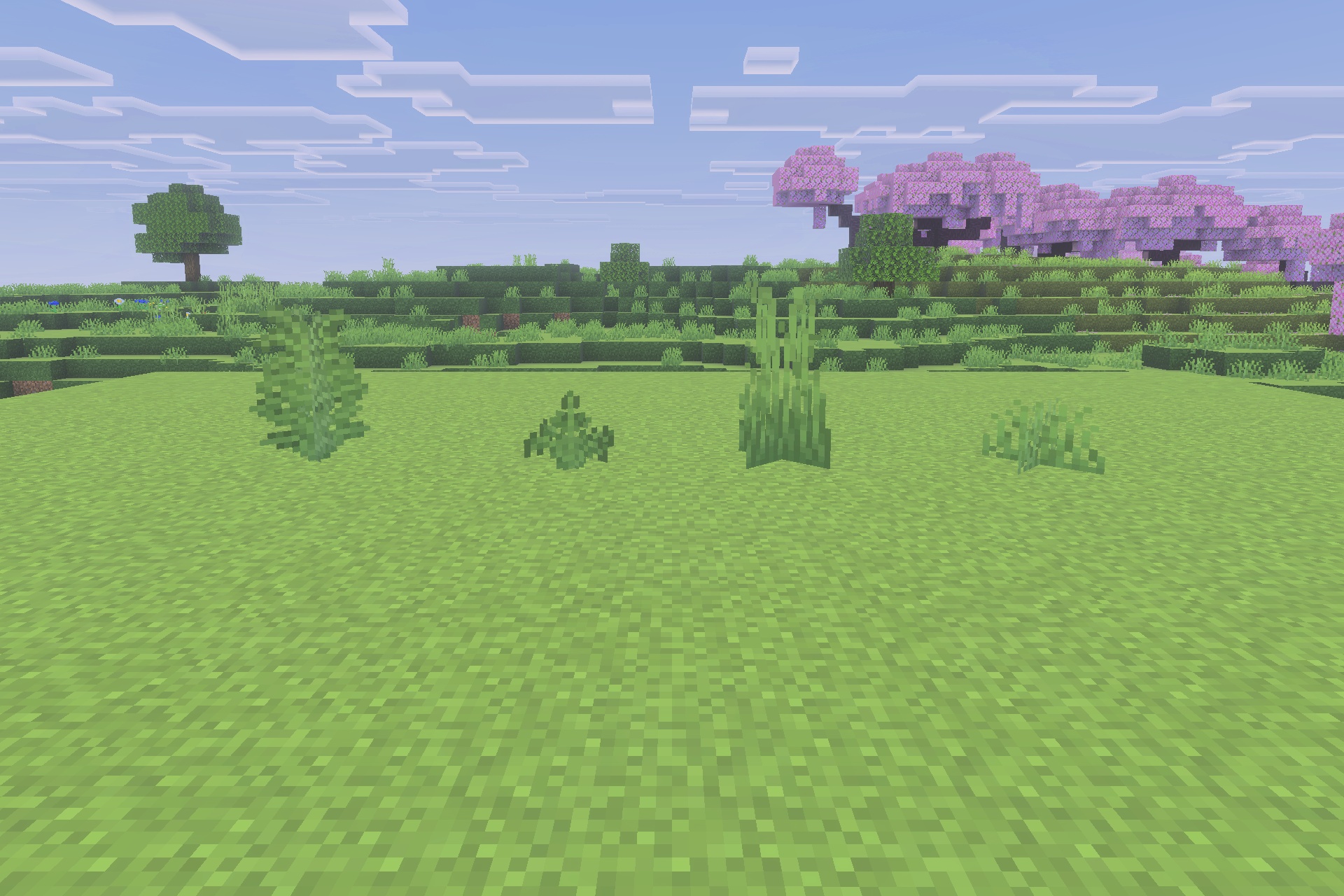 Various plants displayed on a flat landscape with full sided grass blocks