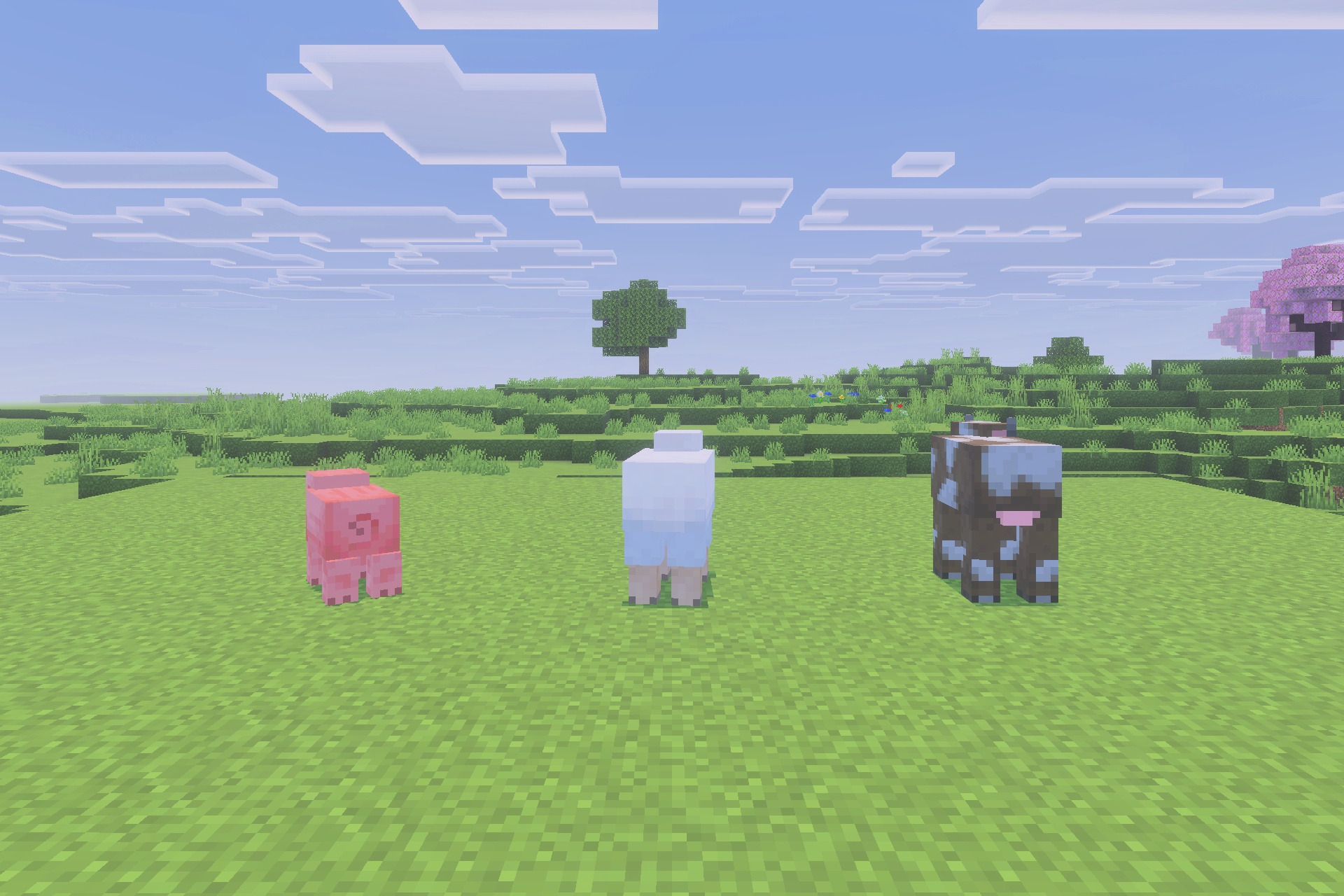 Minecraft animals standing on a flat field with full sided grass textures