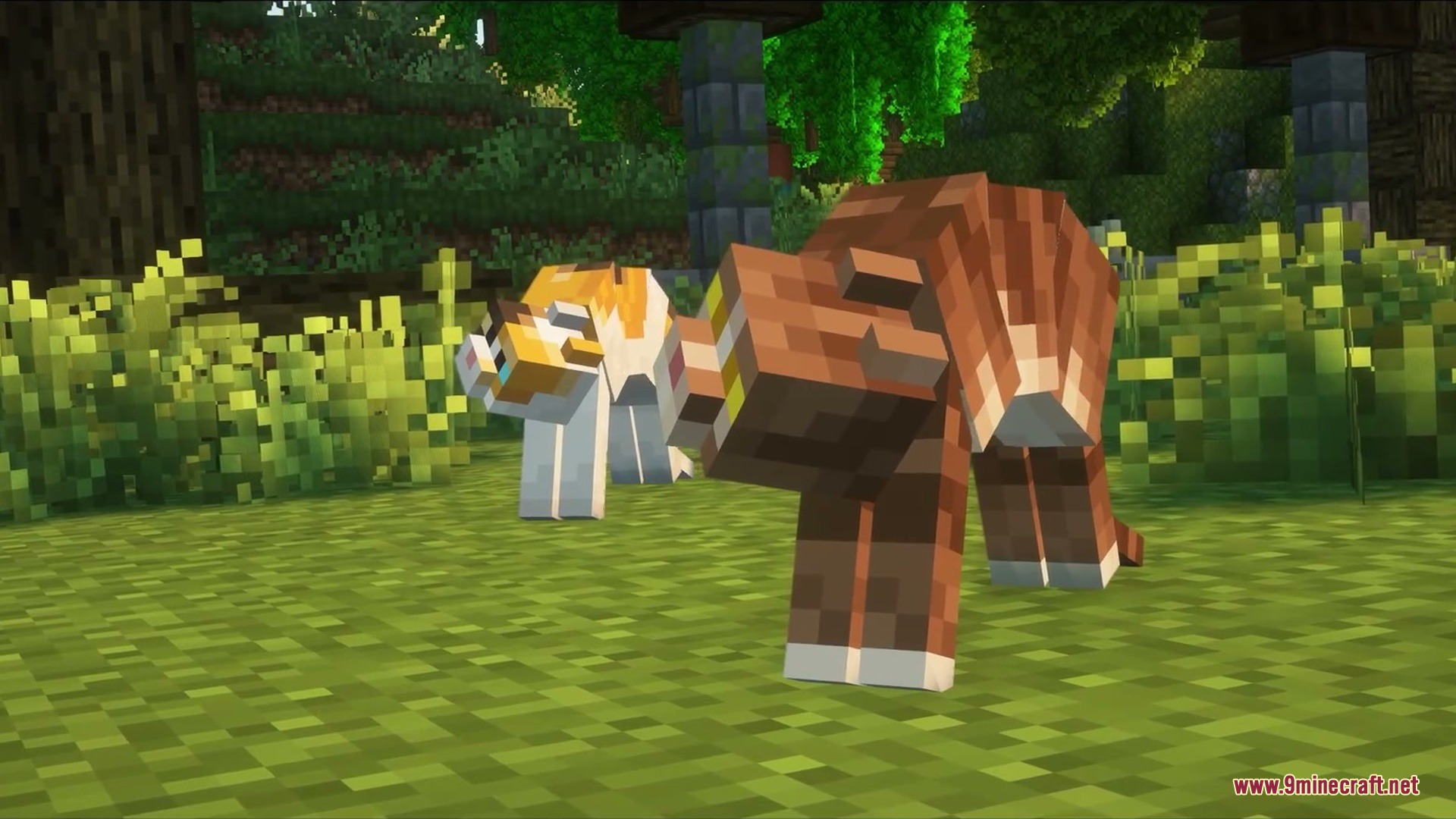 A calico cat and a ginger cat fighting in a Minecraft forest