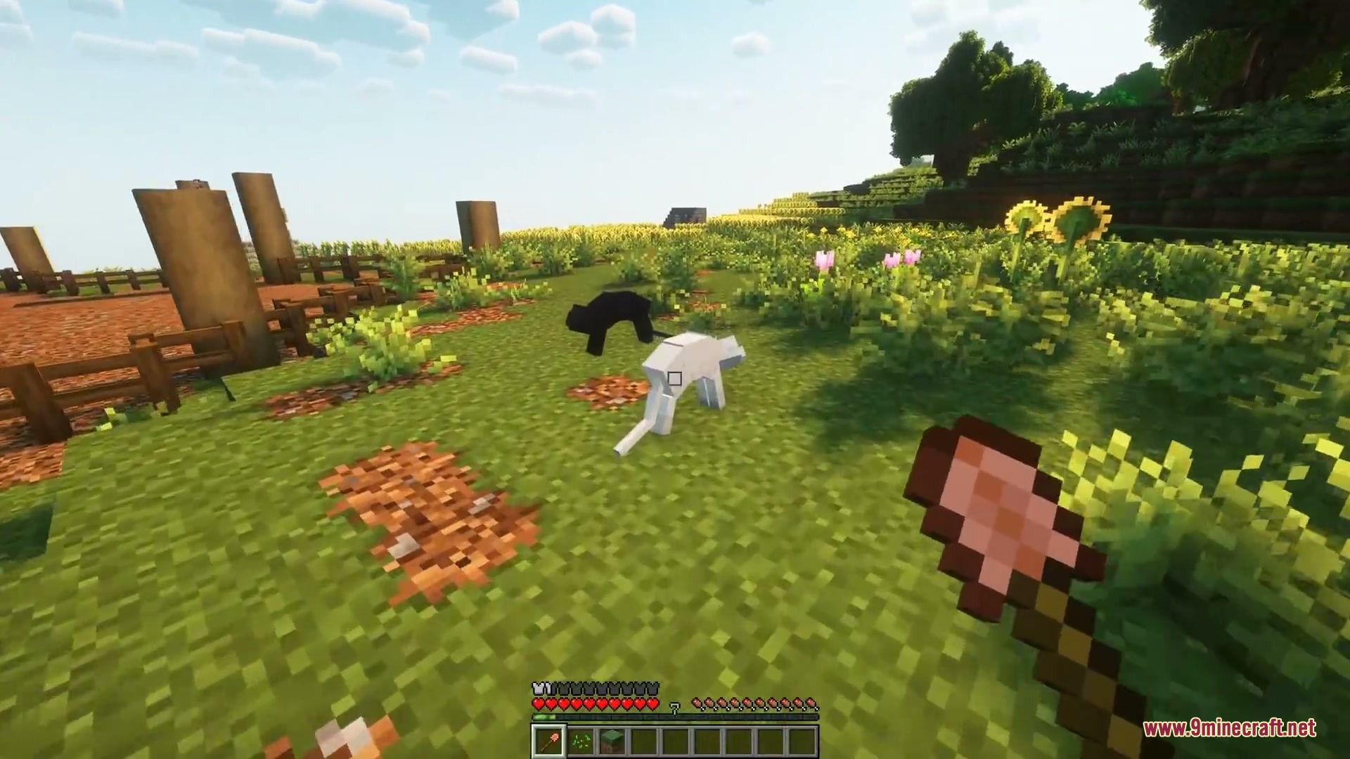 Player holding a shovel next to a flattened white cat in the field