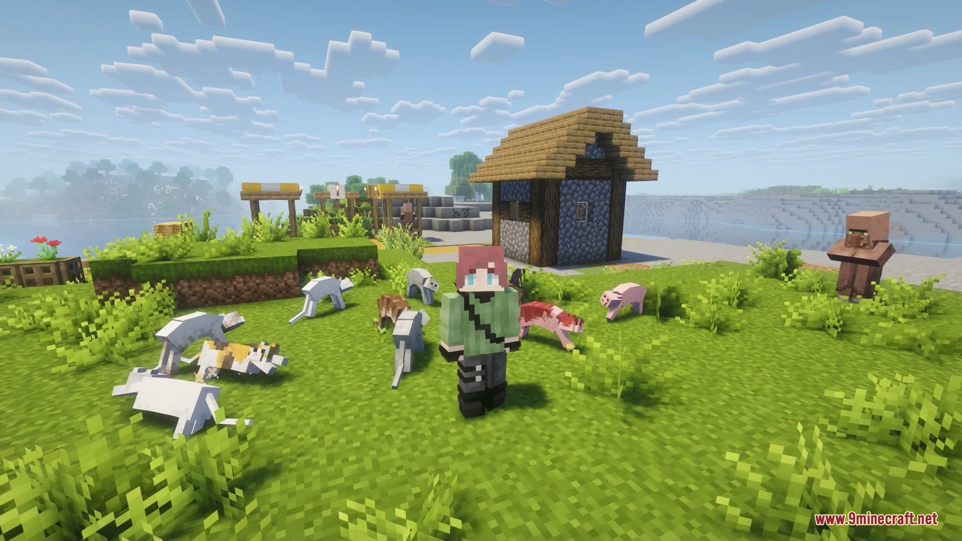 A player character standing among several flattened cats in a sunny Minecraft village