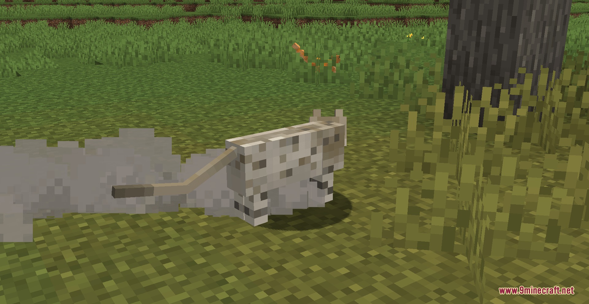 Feral Clan Wilds Mod Screenshot 8 Spotted wild cat walking through a grassy field near a tree