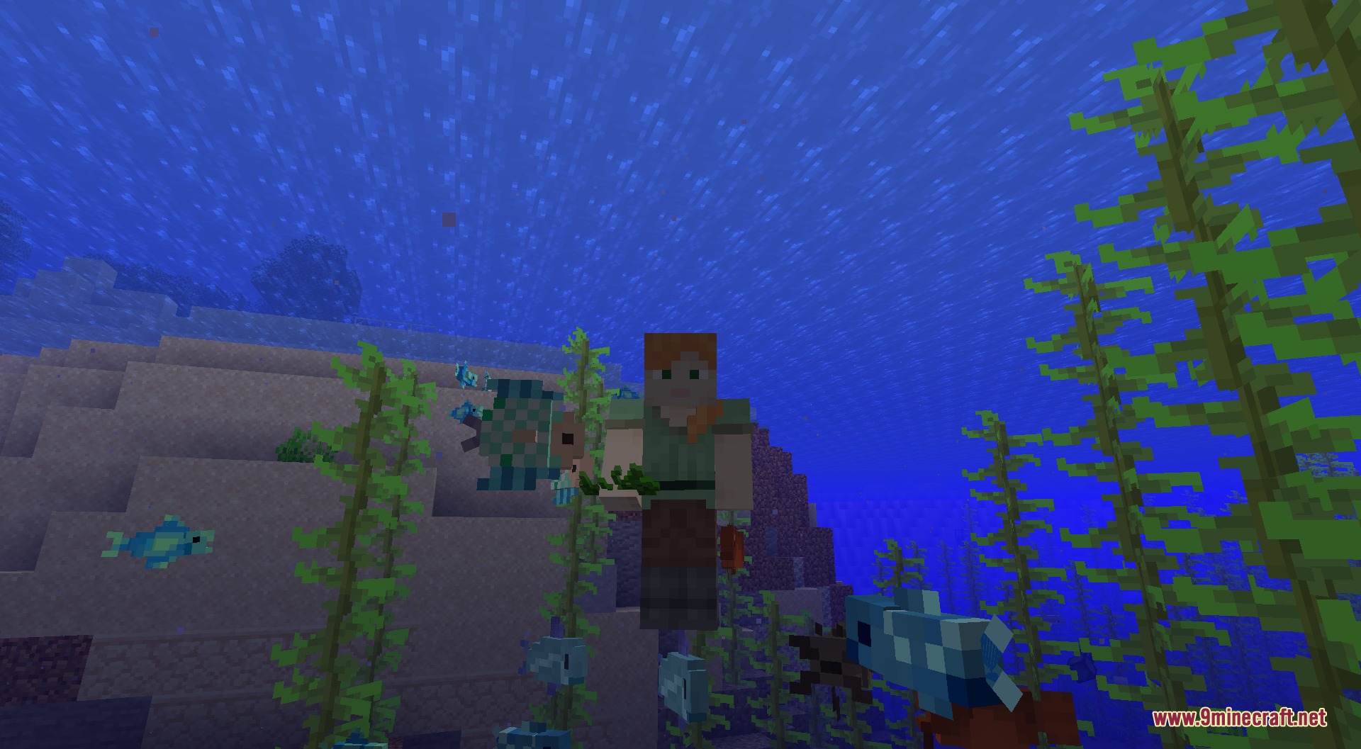 Fishing Frenzy Mod Screenshot 1 A player swimming underwater with schools of various new fish in kelp forest