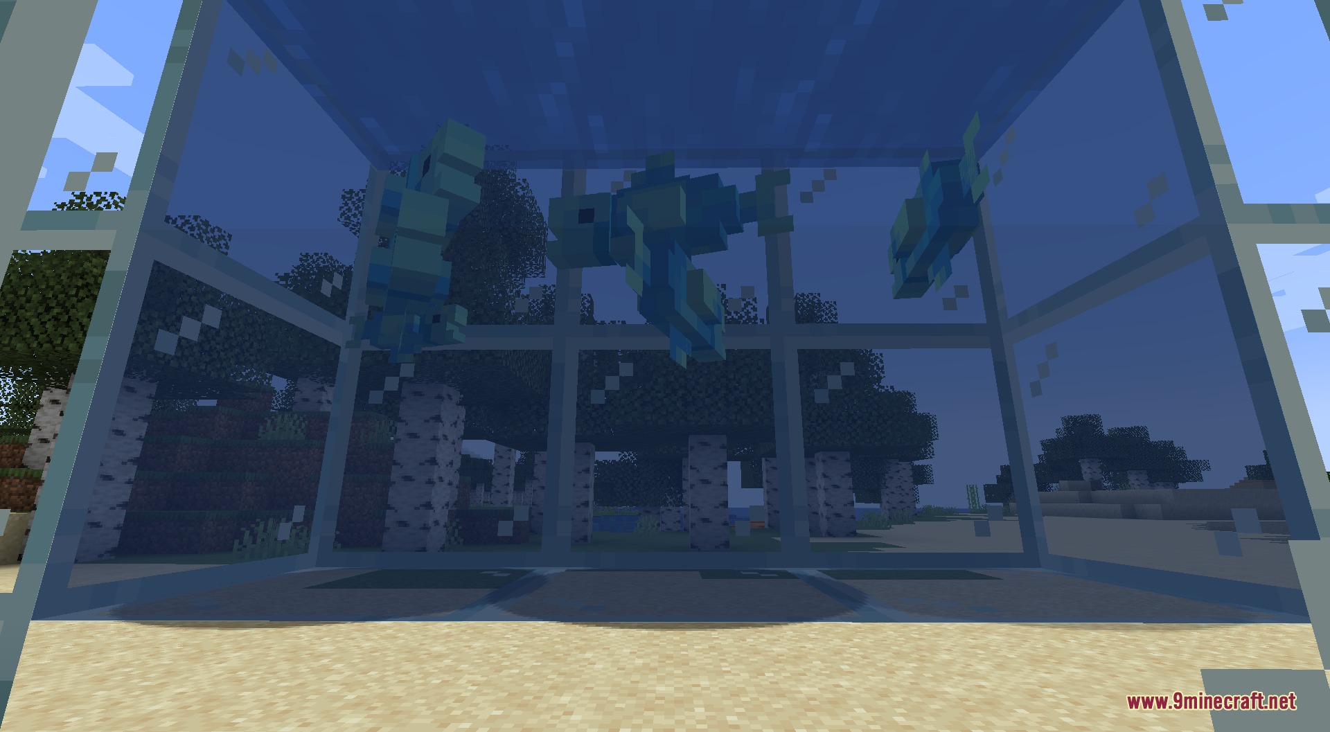 Fishing Frenzy Mod Screenshot 3 A group of blue fish swimming inside a glass aquarium in Minecraft