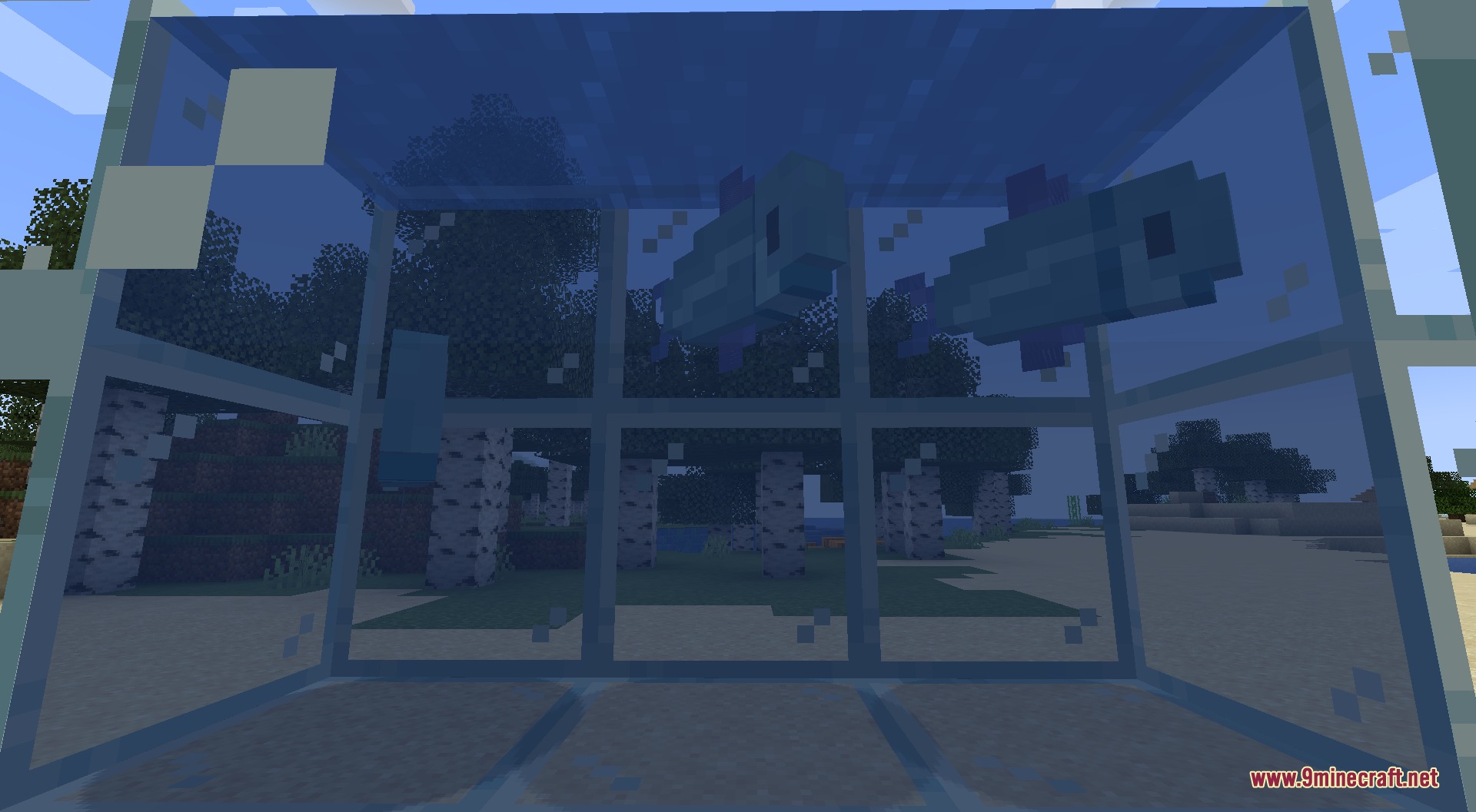 Fishing Frenzy Mod Screenshot 4 Two blue fish swimming inside a glass tank from the Fishing Frenzy mod