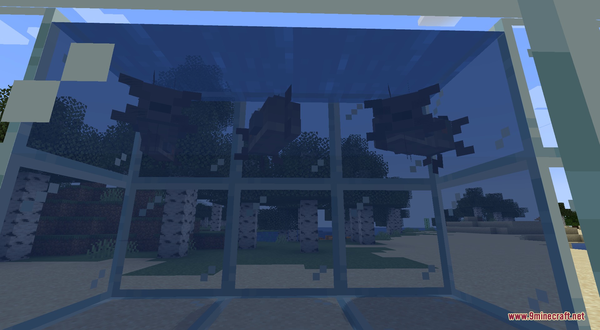 Fishing Frenzy Mod Screenshot 5 Three dark catfish swimming inside a glass aquarium in a birch forest