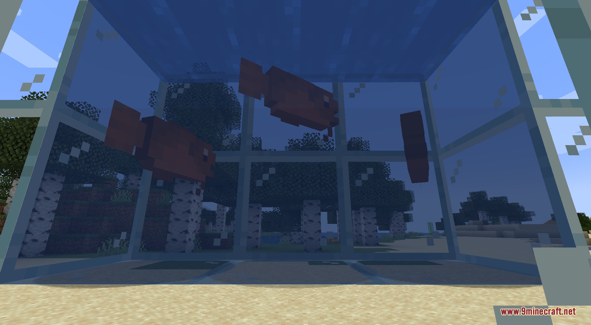 Fishing Frenzy Mod Screenshot 6 Reddish brown fish swimming in a glass tank from the Fishing Frenzy Mod