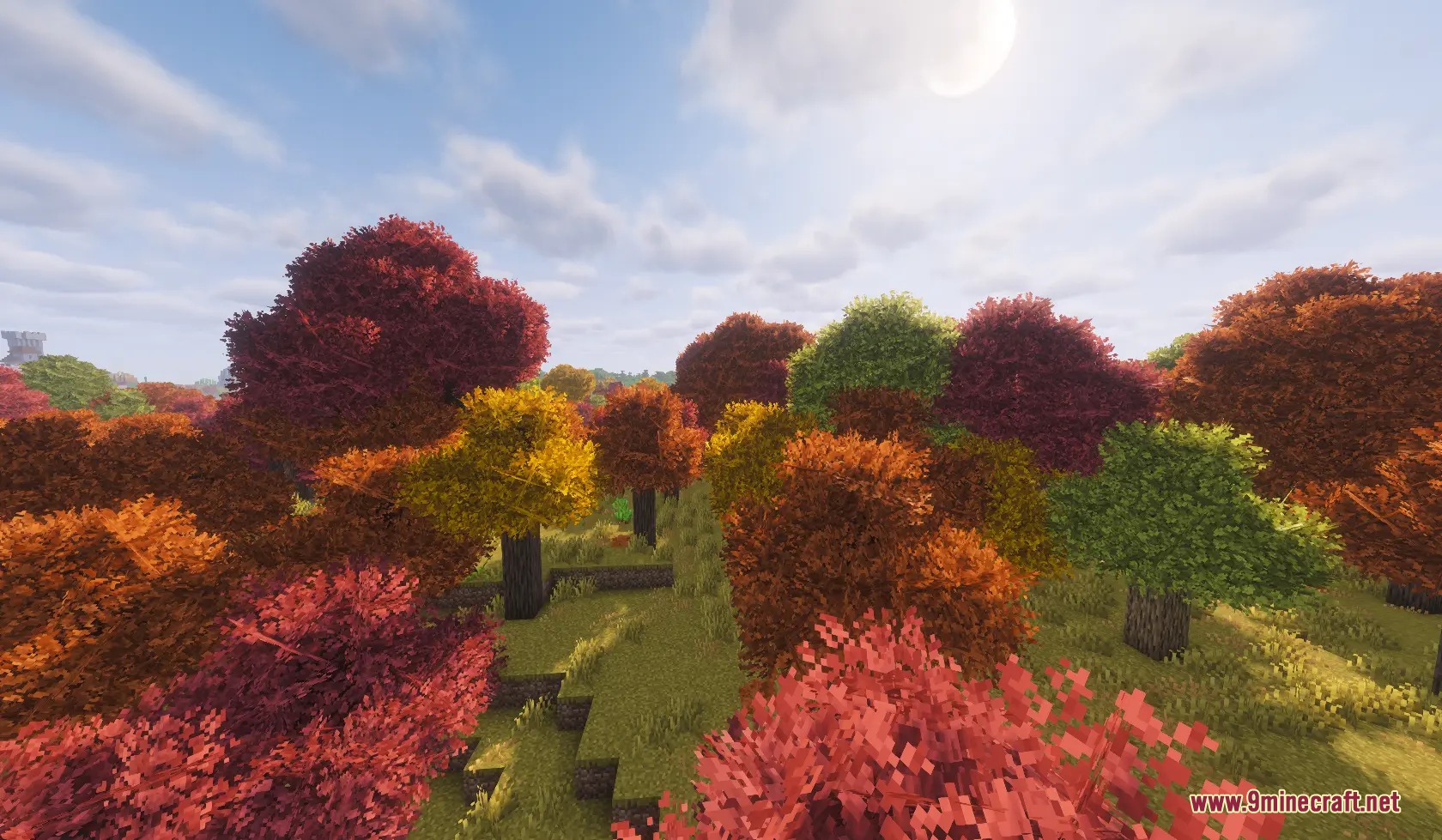Folium Frond Expansion Mod Screenshot 3 Folium Frond Expansion mod adds vibrant bushy foliage to various Minecraft trees
